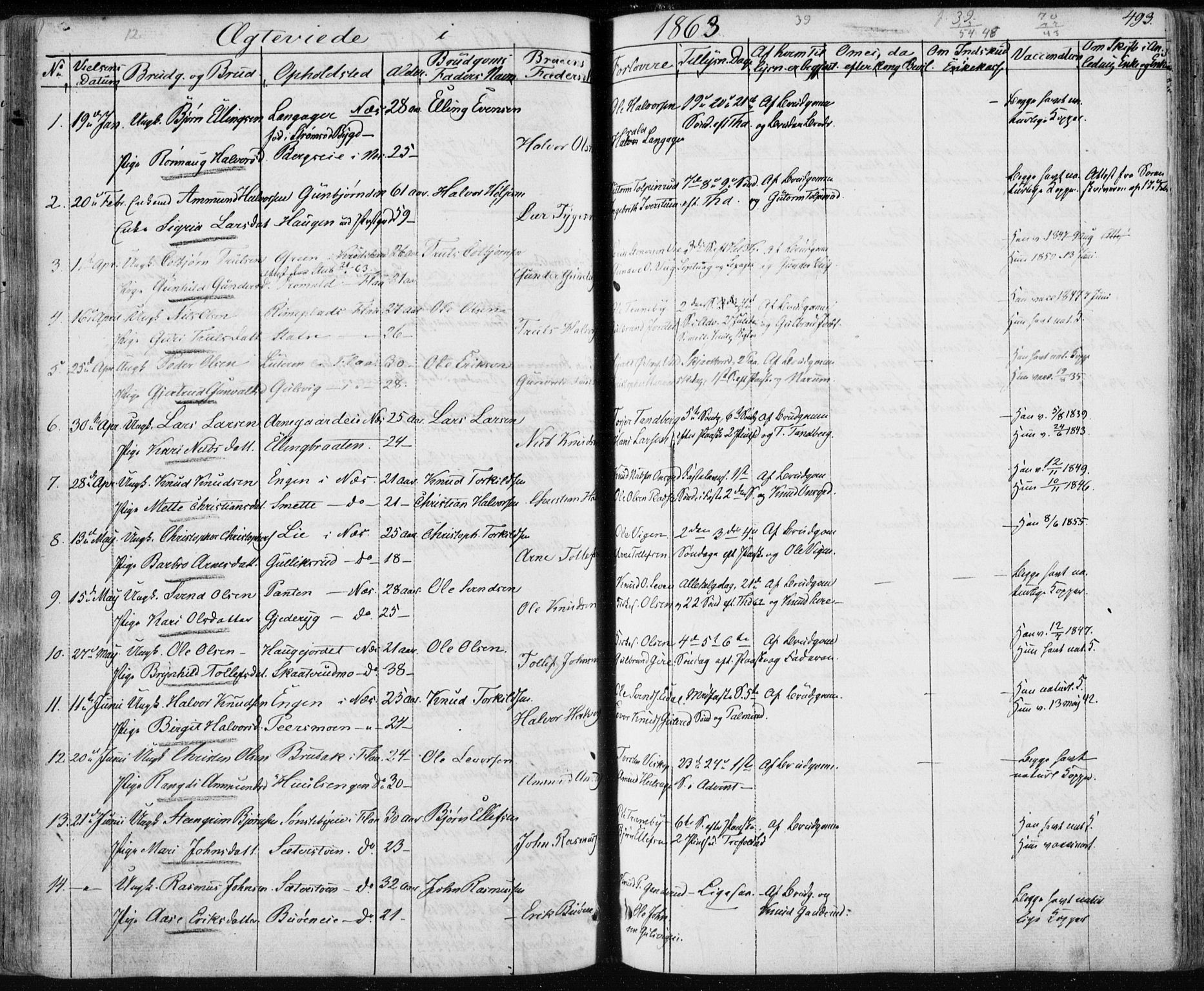 Nes kirkebøker, SAKO/A-236/F/Fa/L0009: Parish register (official) no. 9, 1834-1863, p. 493