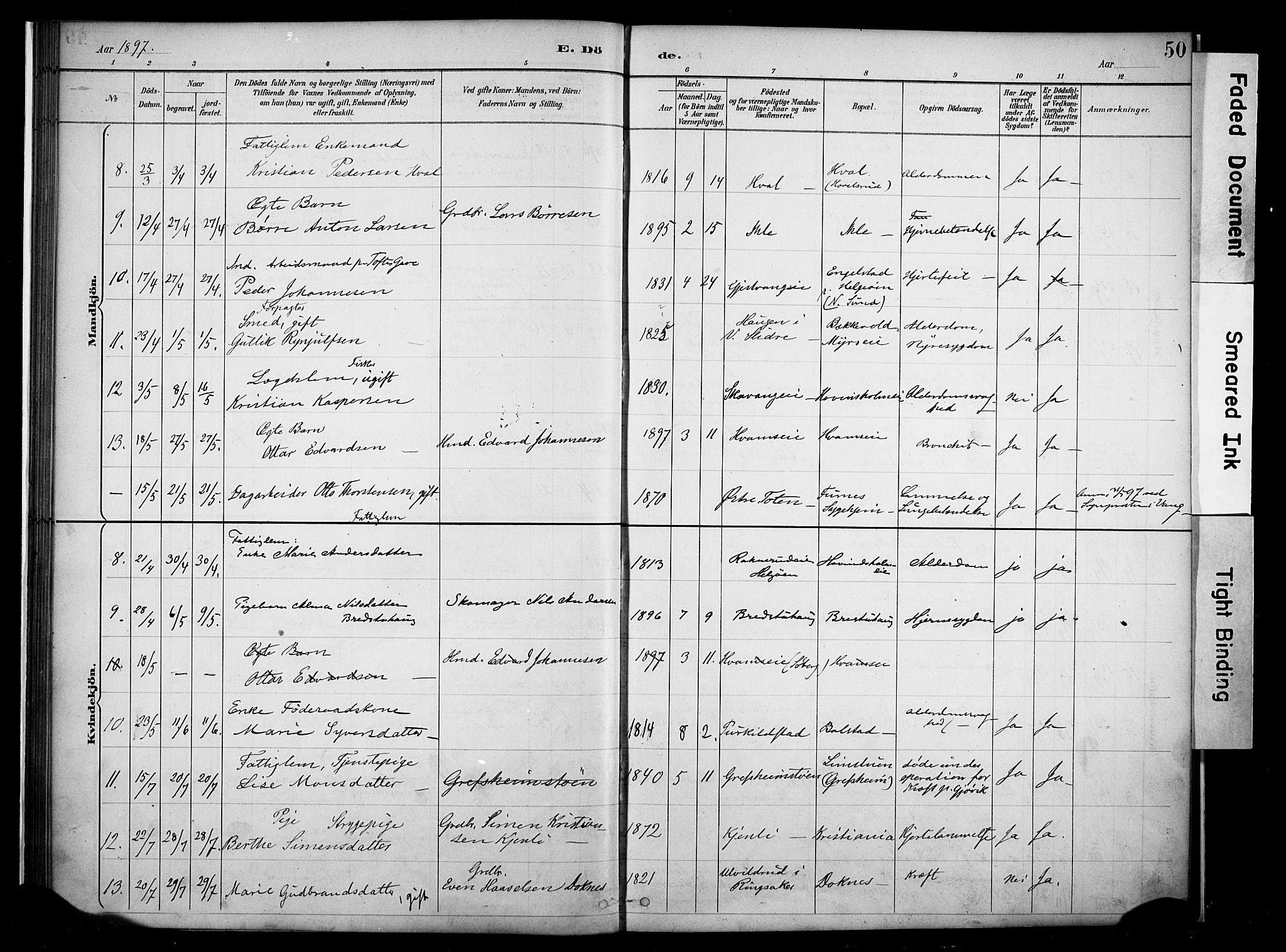 Nes prestekontor, Hedmark, SAH/PREST-020/K/Ka/L0011: Parish register (official) no. 11, 1887-1905, p. 50