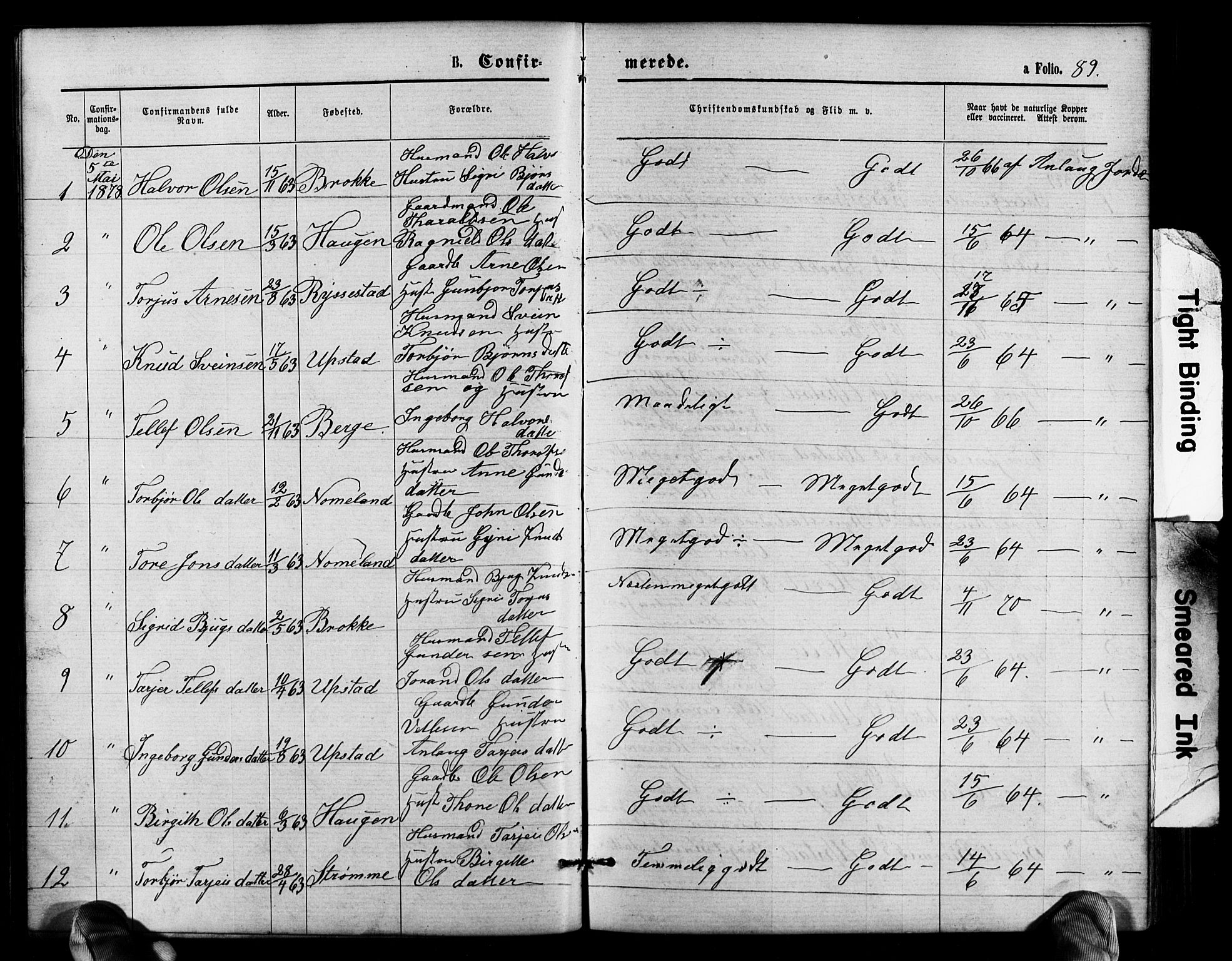 Valle sokneprestkontor, SAK/1111-0044/F/Fb/Fbb/L0002: Parish register (copy) no. B 2, 1875-1921, p. 89