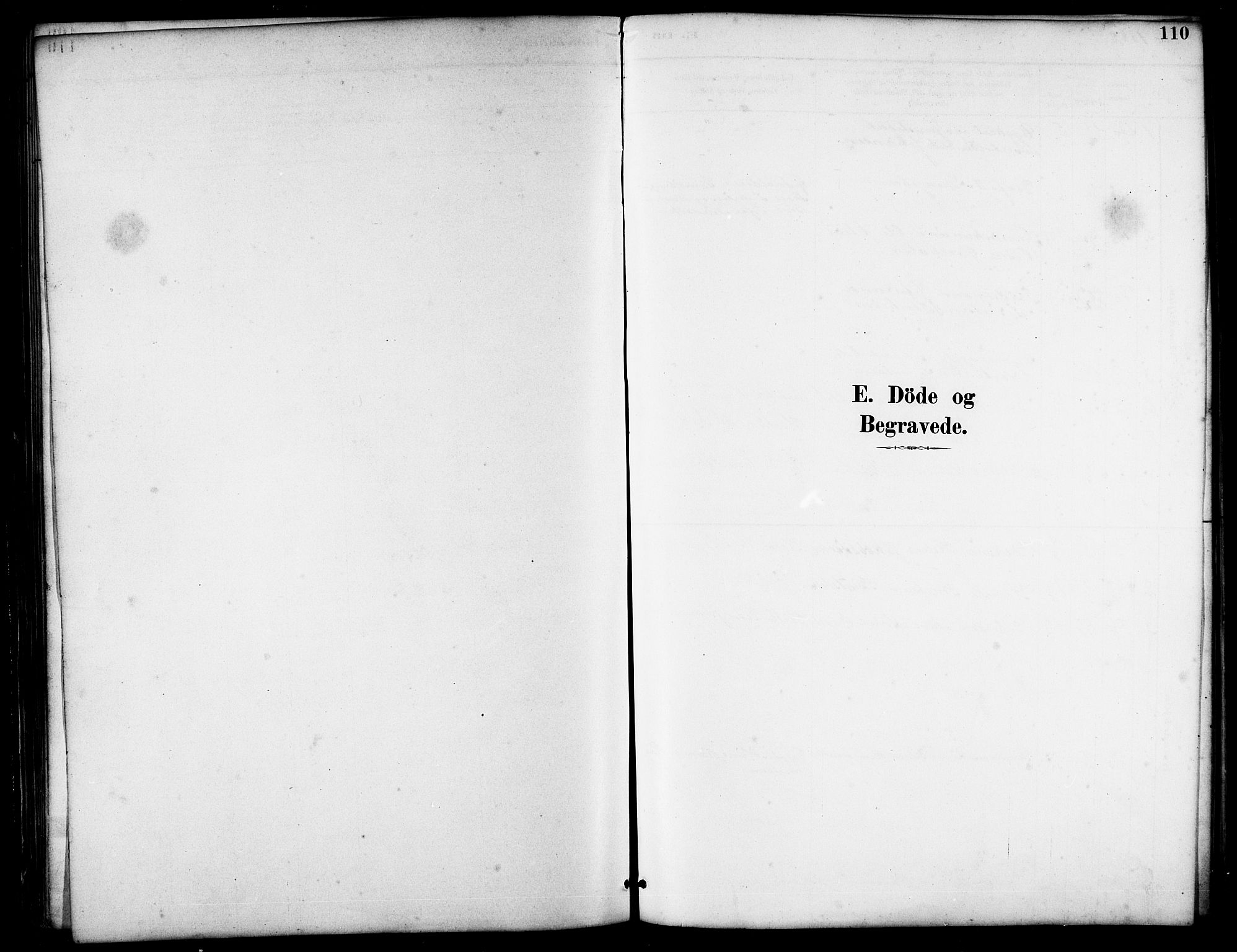 Ministerialprotokoller, klokkerbøker og fødselsregistre - Møre og Romsdal, SAT/A-1454/521/L0302: Parish register (copy) no. 521C03, 1882-1907, p. 110