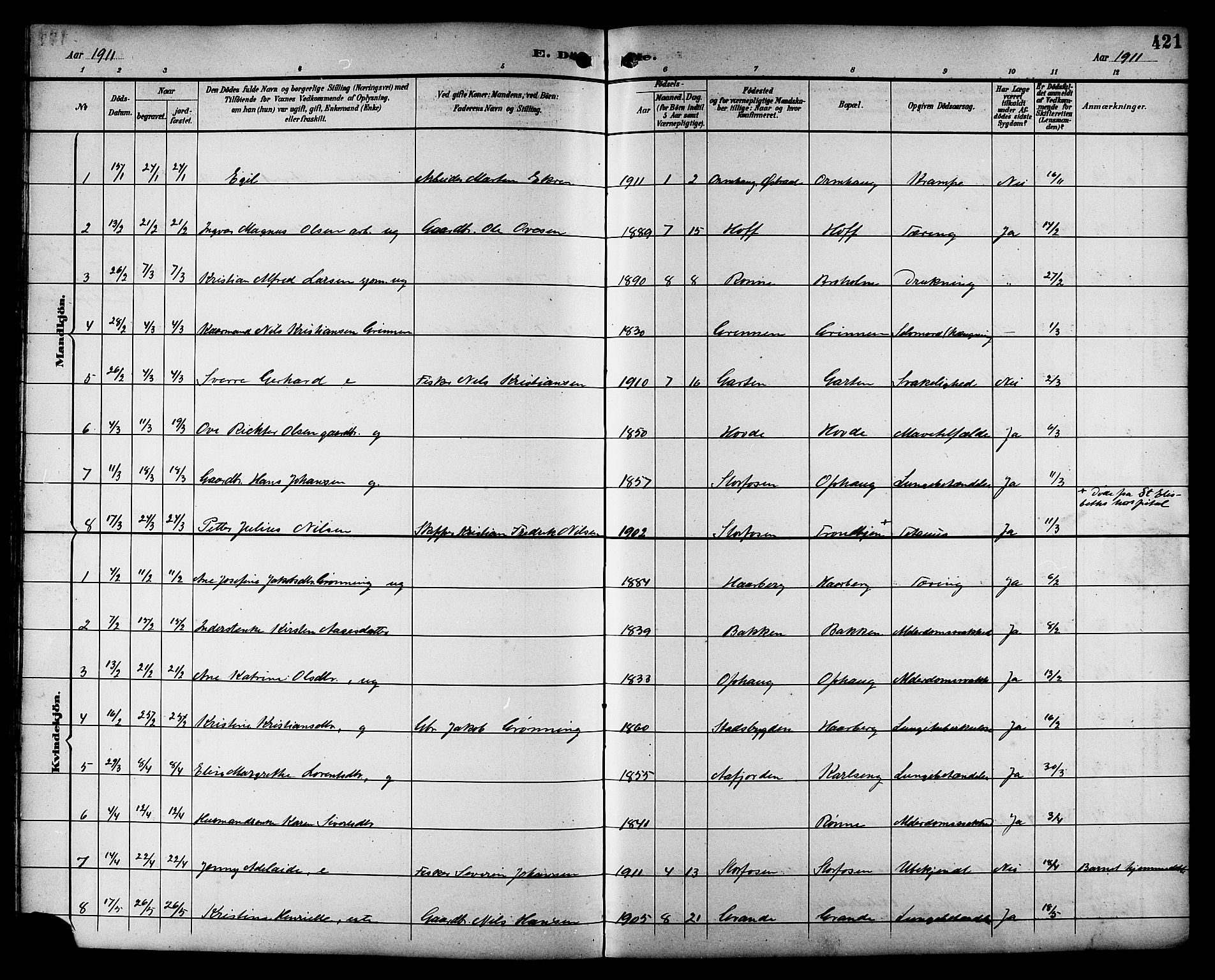 Ministerialprotokoller, klokkerbøker og fødselsregistre - Sør-Trøndelag, SAT/A-1456/659/L0746: Parish register (copy) no. 659C03, 1893-1912, p. 421