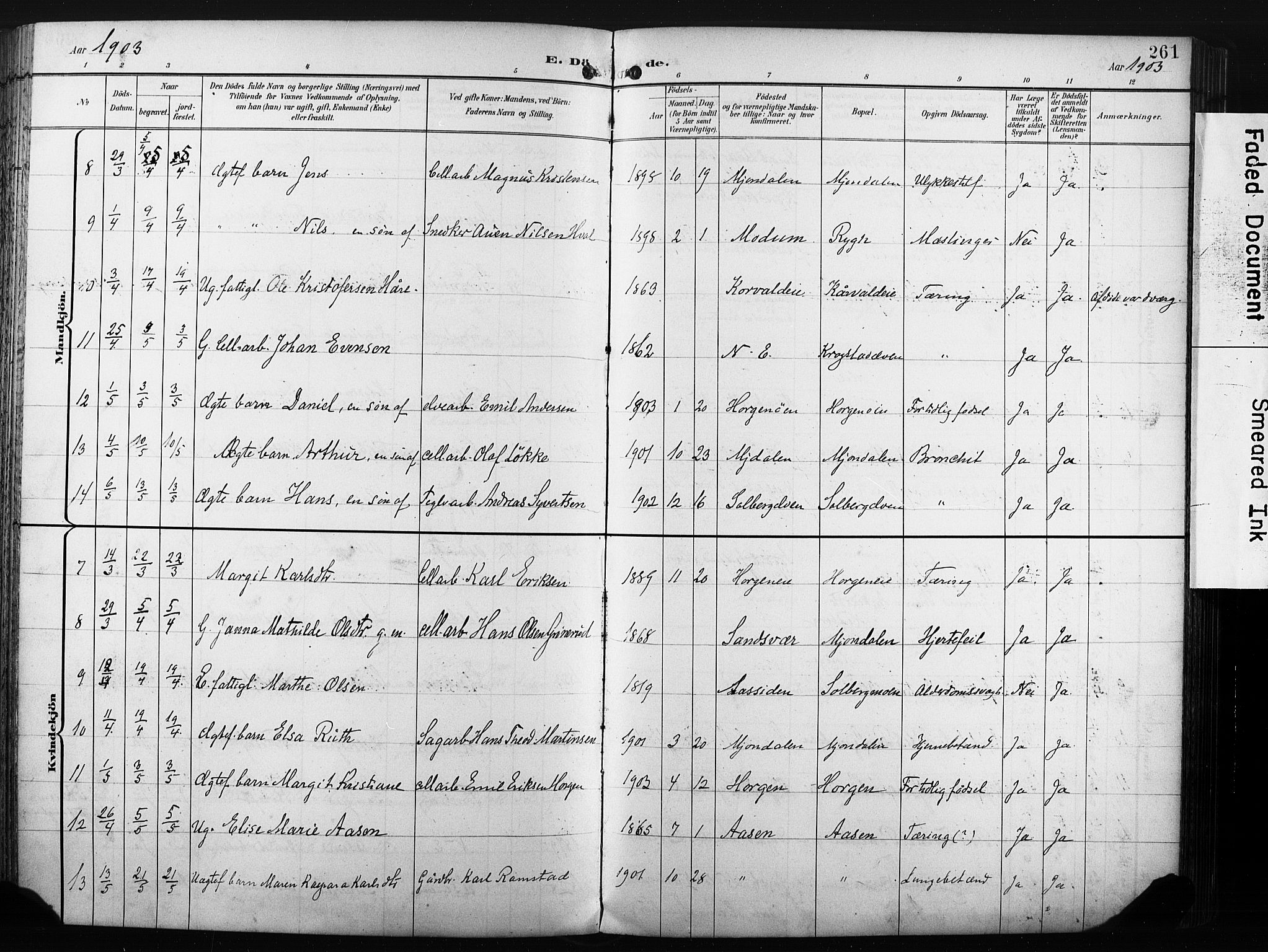 Nedre Eiker kirkebøker, SAKO/A-612/F/Fa/L0005: Parish register (official) no. 5, 1898-1905, p. 261