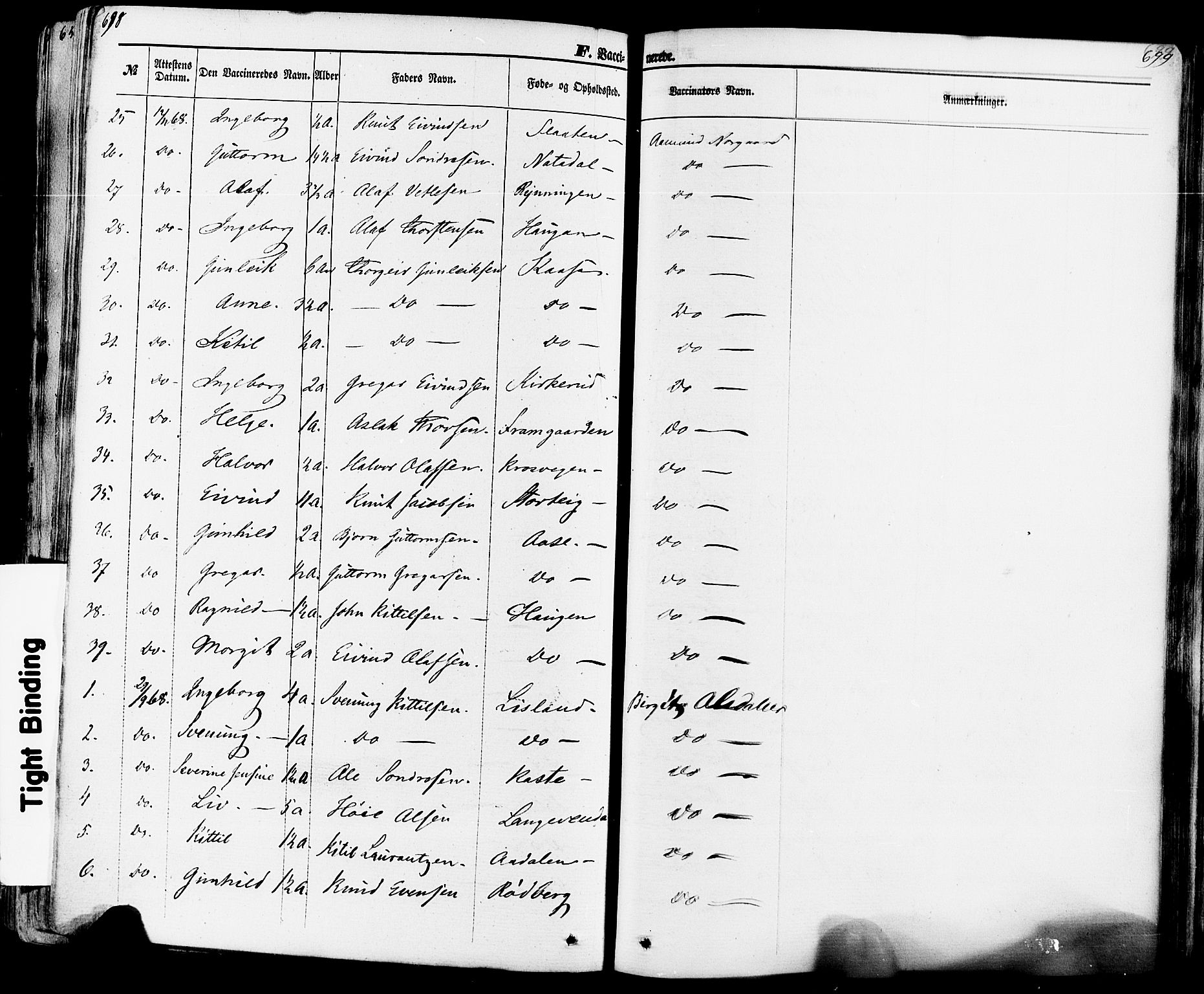 Seljord kirkebøker, AV/SAKO-A-20/F/Fa/L0013: Parish register (official) no. I 13, 1866-1876, p. 698-699