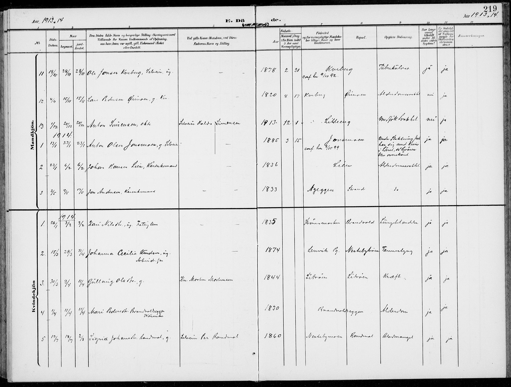 Alvdal prestekontor, SAH/PREST-060/H/Ha/Haa/L0004: Parish register (official) no. 4, 1907-1919, p. 219