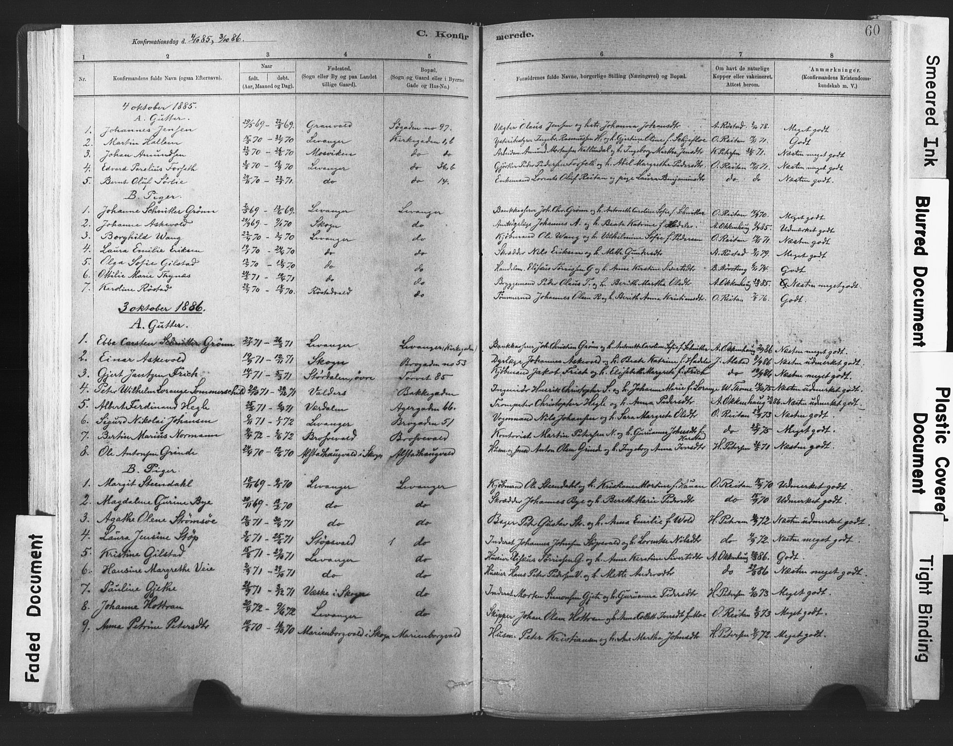 Ministerialprotokoller, klokkerbøker og fødselsregistre - Nord-Trøndelag, SAT/A-1458/720/L0189: Parish register (official) no. 720A05, 1880-1911, p. 60