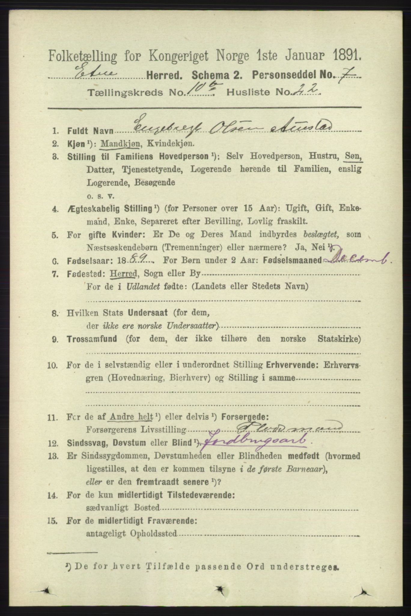 RA, 1891 census for 1211 Etne, 1891, p. 2091