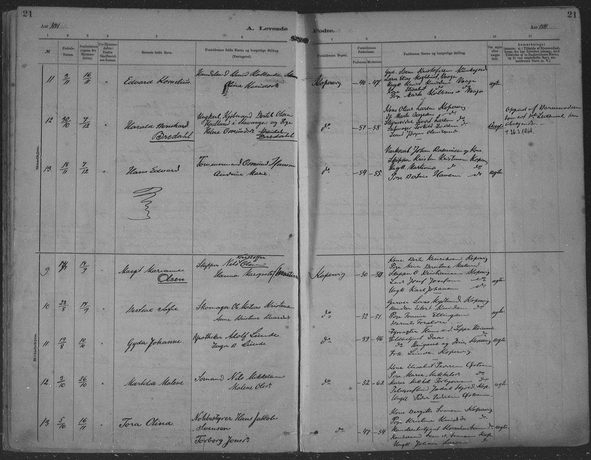Kopervik sokneprestkontor, AV/SAST-A-101850/H/Ha/Haa/L0001: Parish register (official) no. A 1, 1880-1919, p. 21