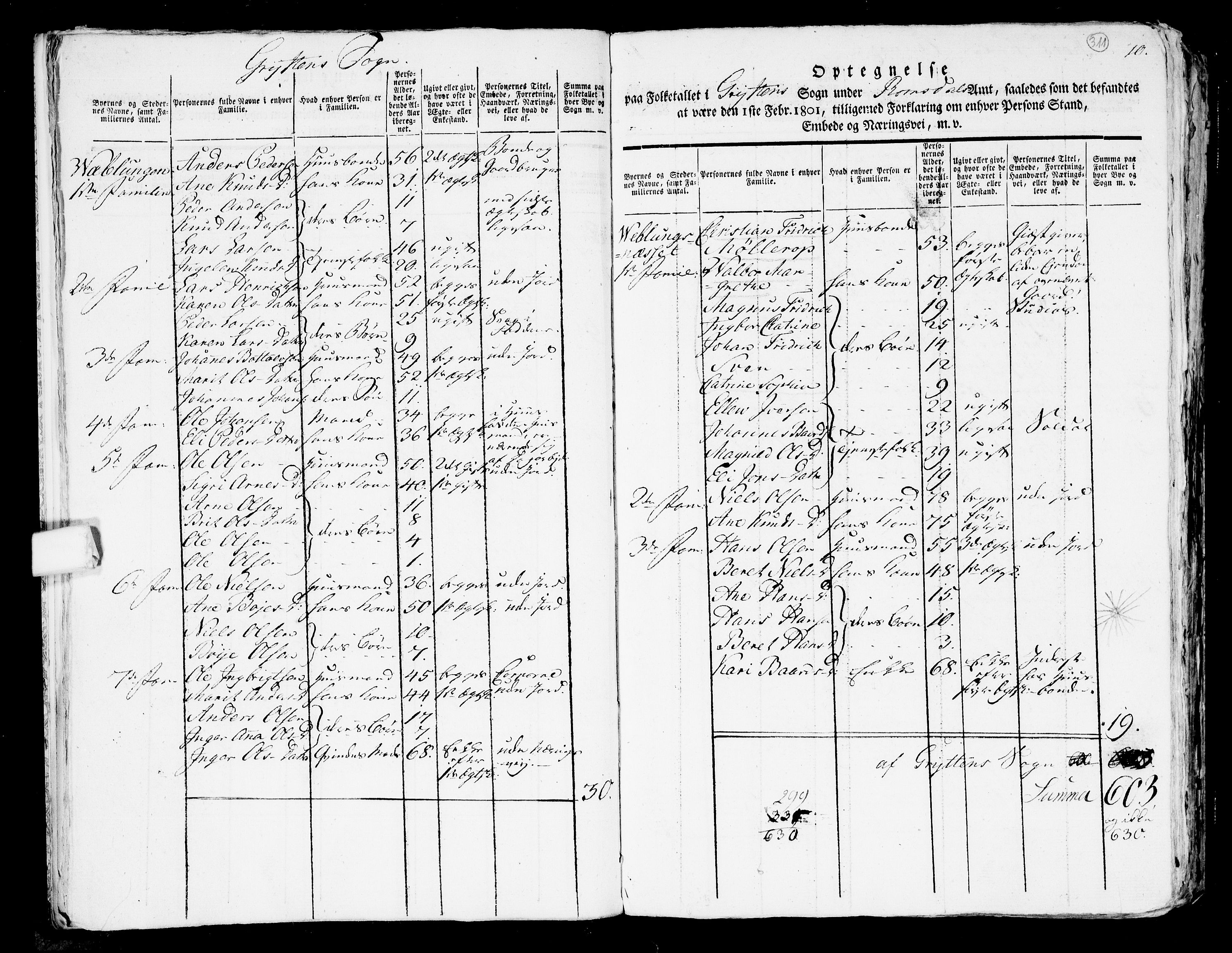 RA, 1801 census for 1539P Grytten, 1801, p. 310b-311a