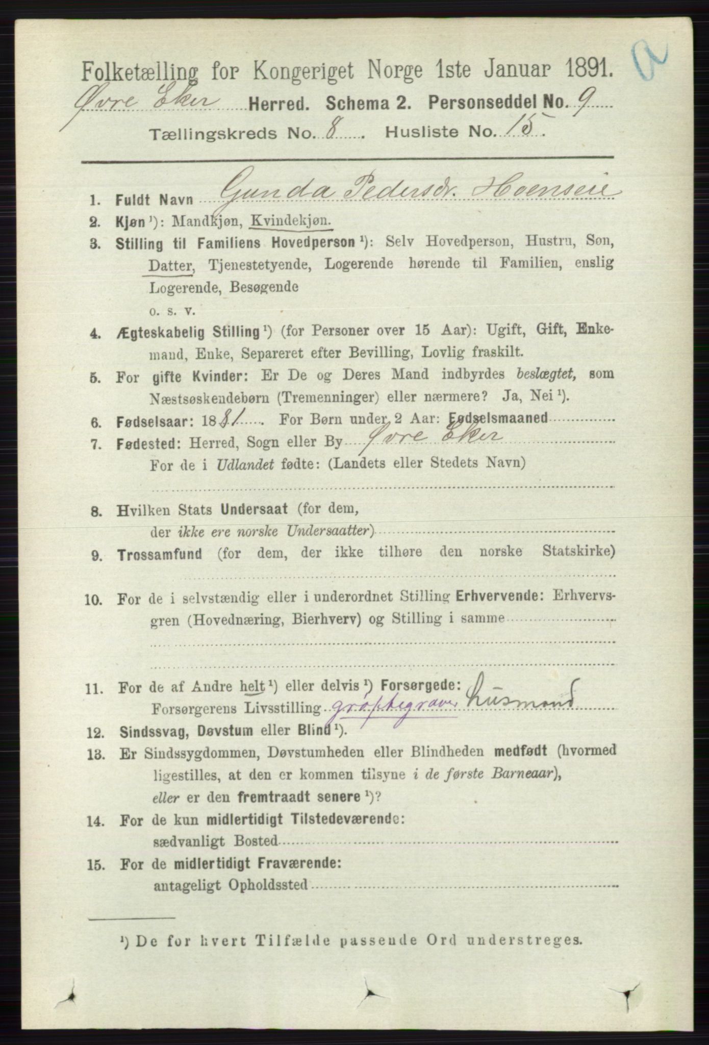 RA, 1891 census for 0624 Øvre Eiker, 1891, p. 3305