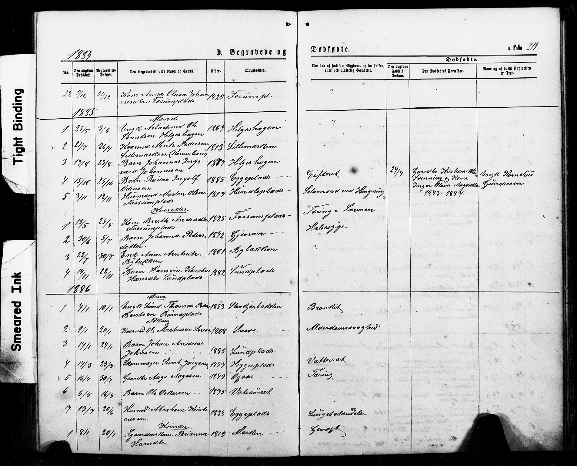 Ministerialprotokoller, klokkerbøker og fødselsregistre - Nord-Trøndelag, SAT/A-1458/740/L0380: Parish register (copy) no. 740C01, 1868-1902, p. 214