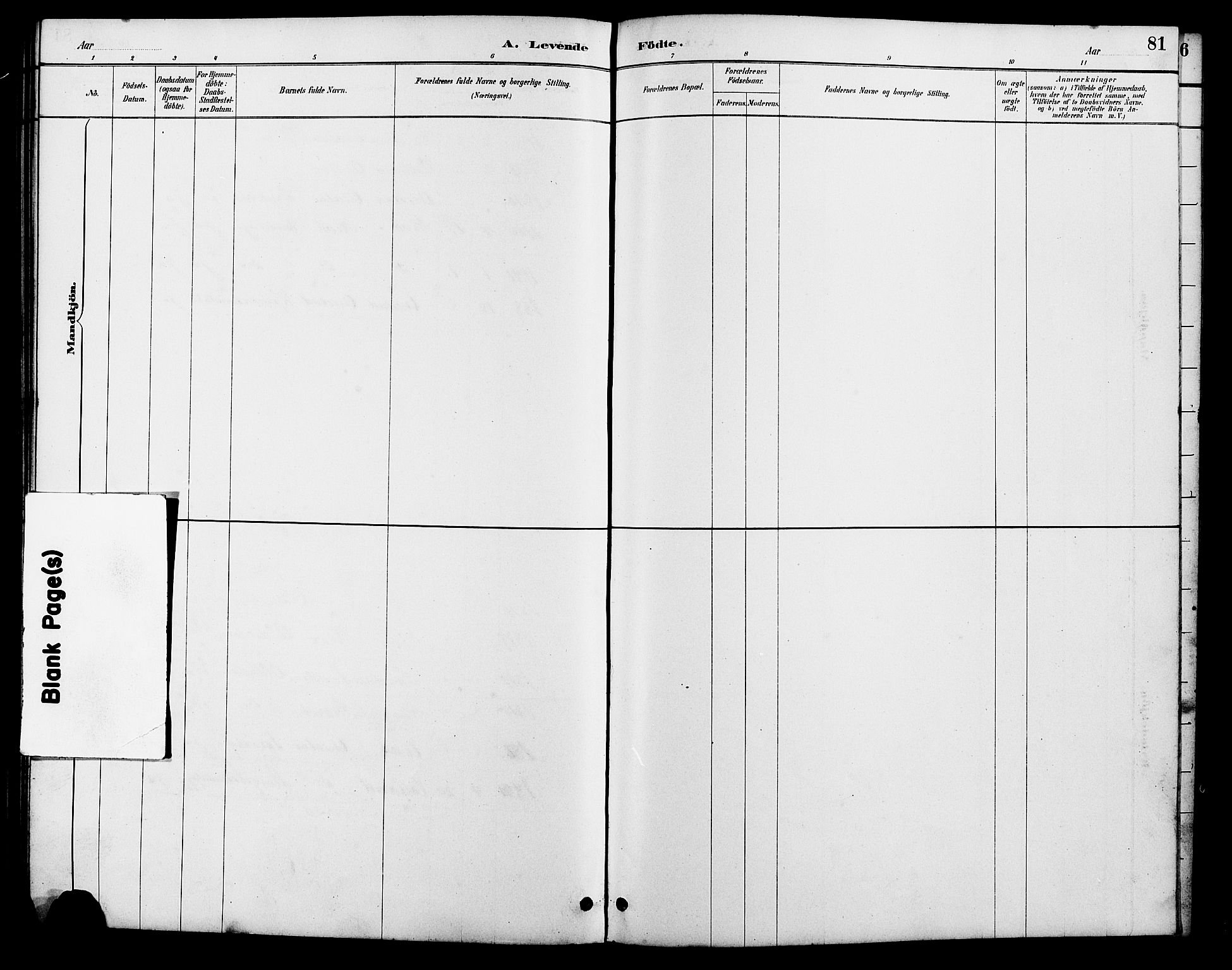 Lyngdal sokneprestkontor, AV/SAK-1111-0029/F/Fb/Fba/L0003: Parish register (copy) no. B 3, 1886-1903, p. 81