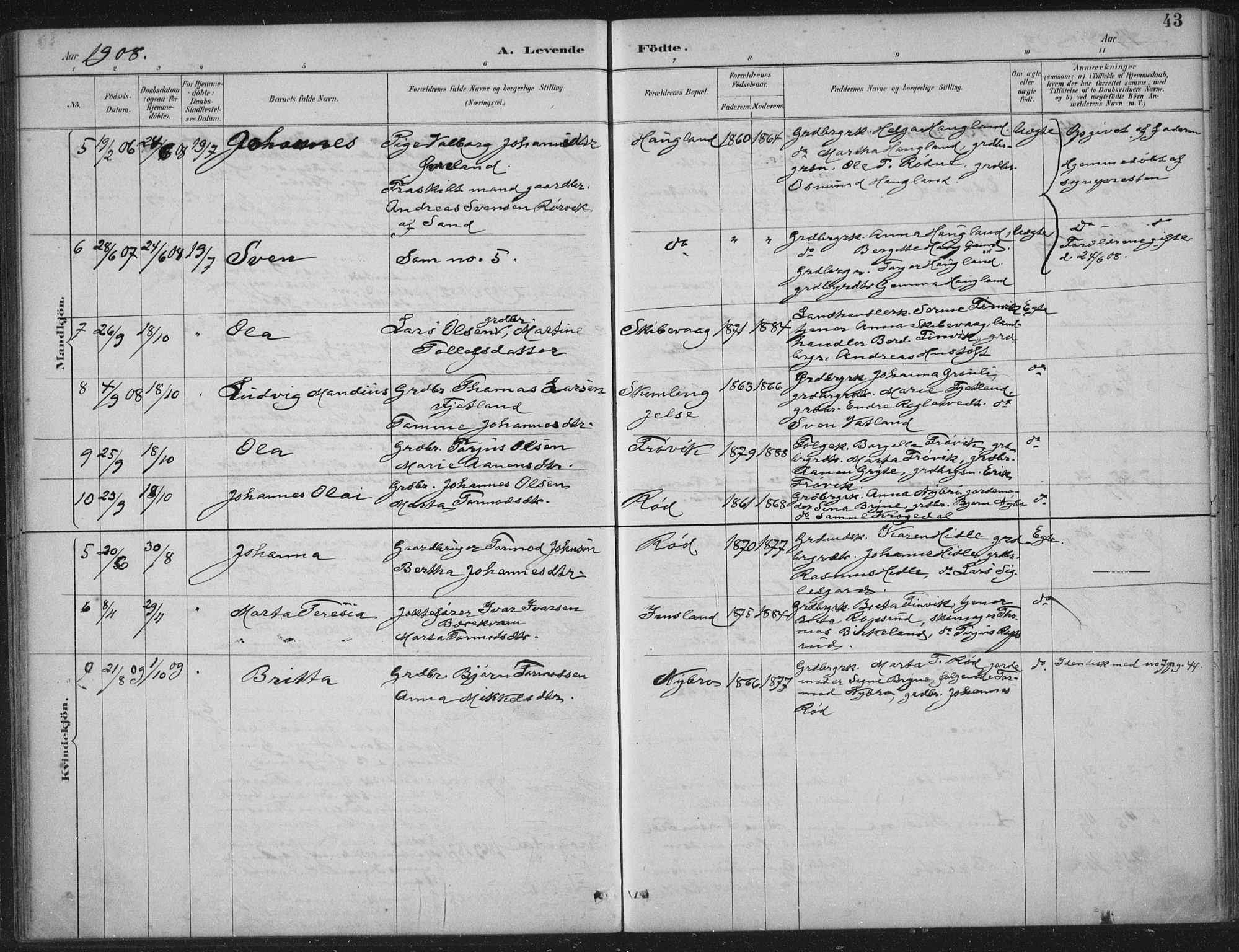 Vikedal sokneprestkontor, AV/SAST-A-101840/01/IV: Parish register (official) no. A 12, 1886-1929, p. 43