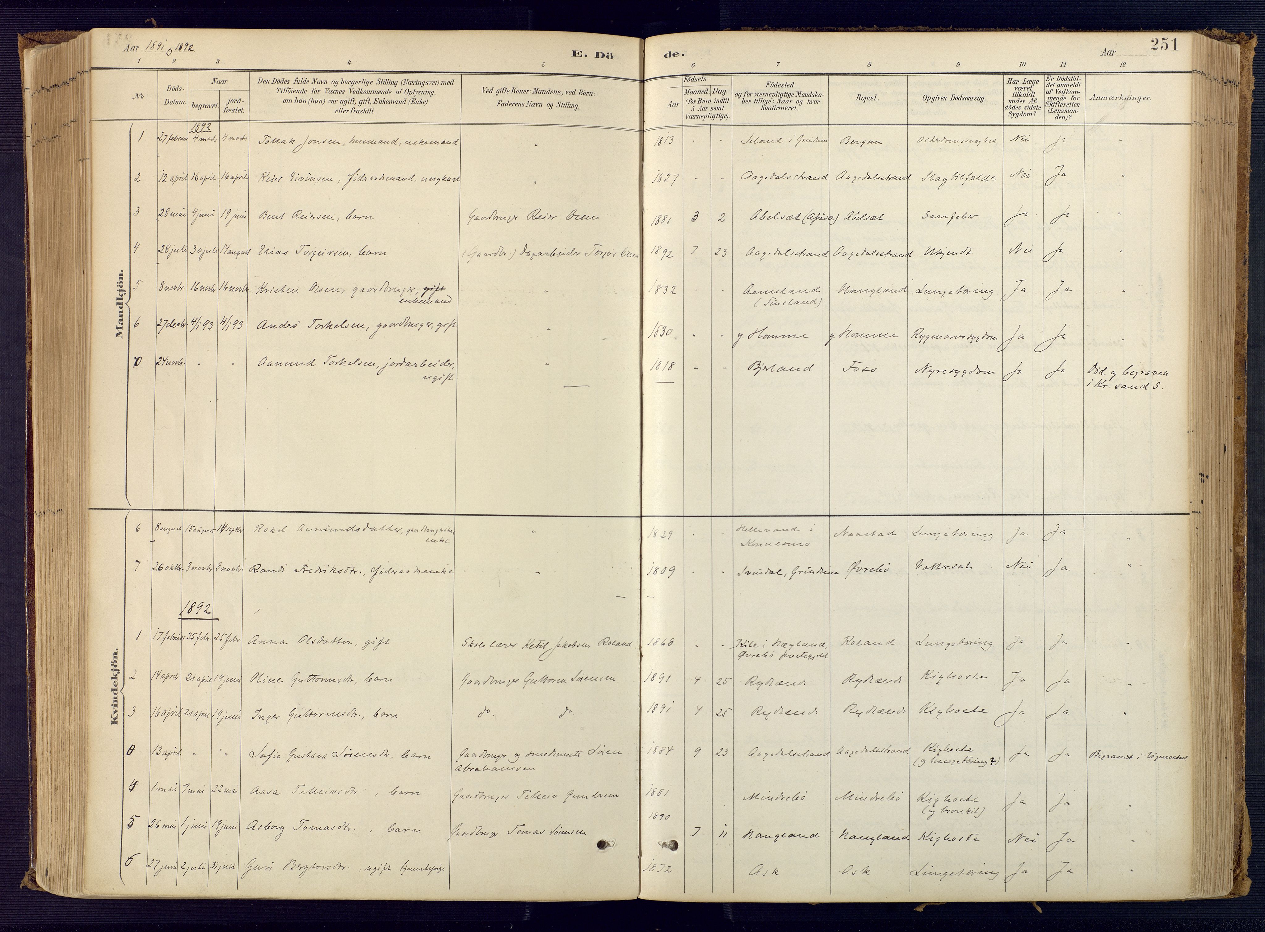 Bjelland sokneprestkontor, SAK/1111-0005/F/Fa/Faa/L0004: Parish register (official) no. A 4, 1887-1923, p. 251