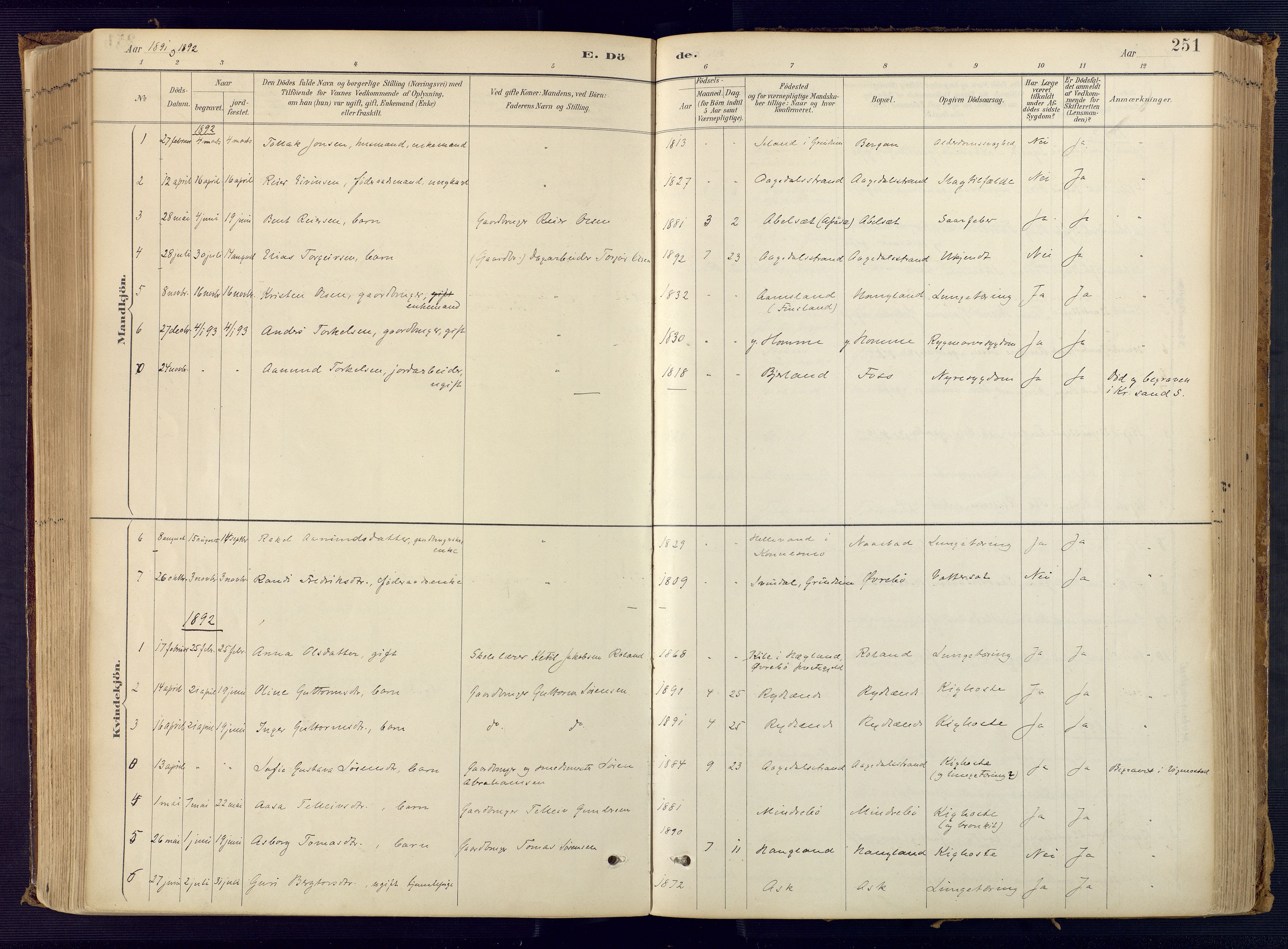 Bjelland sokneprestkontor, AV/SAK-1111-0005/F/Fa/Faa/L0004: Parish register (official) no. A 4, 1887-1923, p. 251