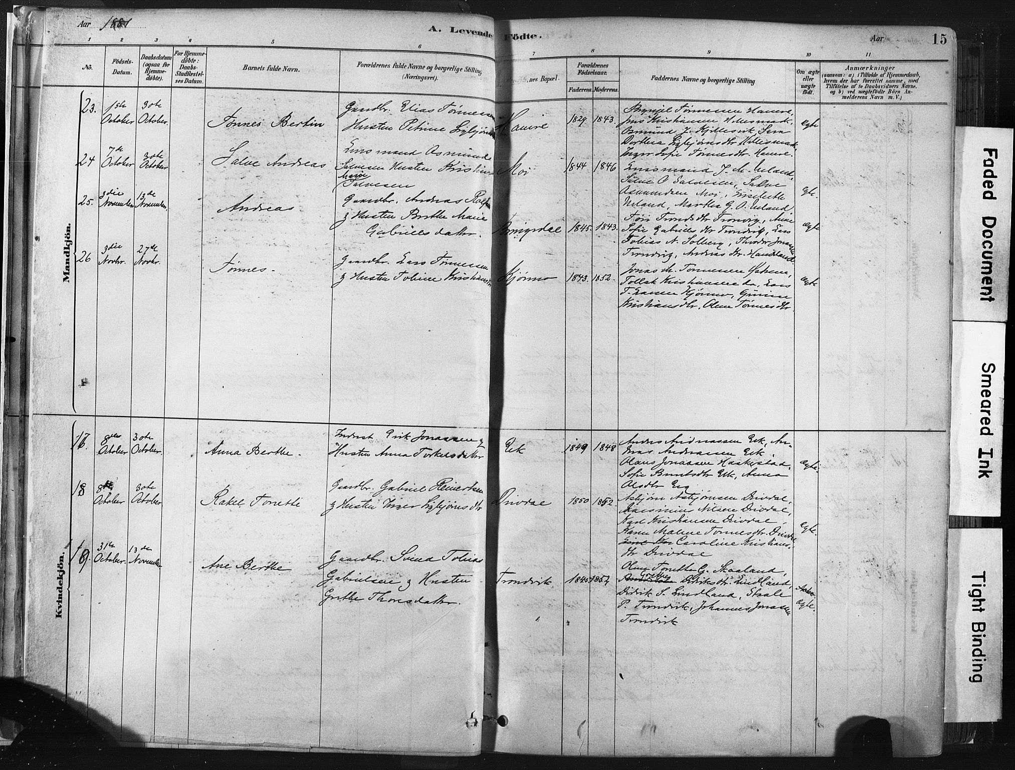 Lund sokneprestkontor, AV/SAST-A-101809/S06/L0011: Parish register (official) no. A 10, 1877-1904, p. 15