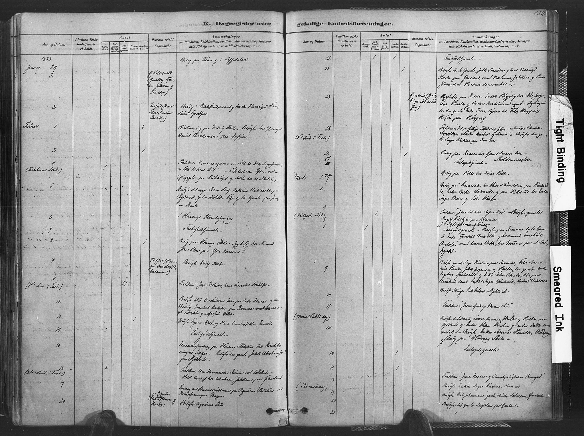 Høvåg sokneprestkontor, SAK/1111-0025/F/Fa/L0005: Parish register (official) no. A 5, 1878-1893, p. 422