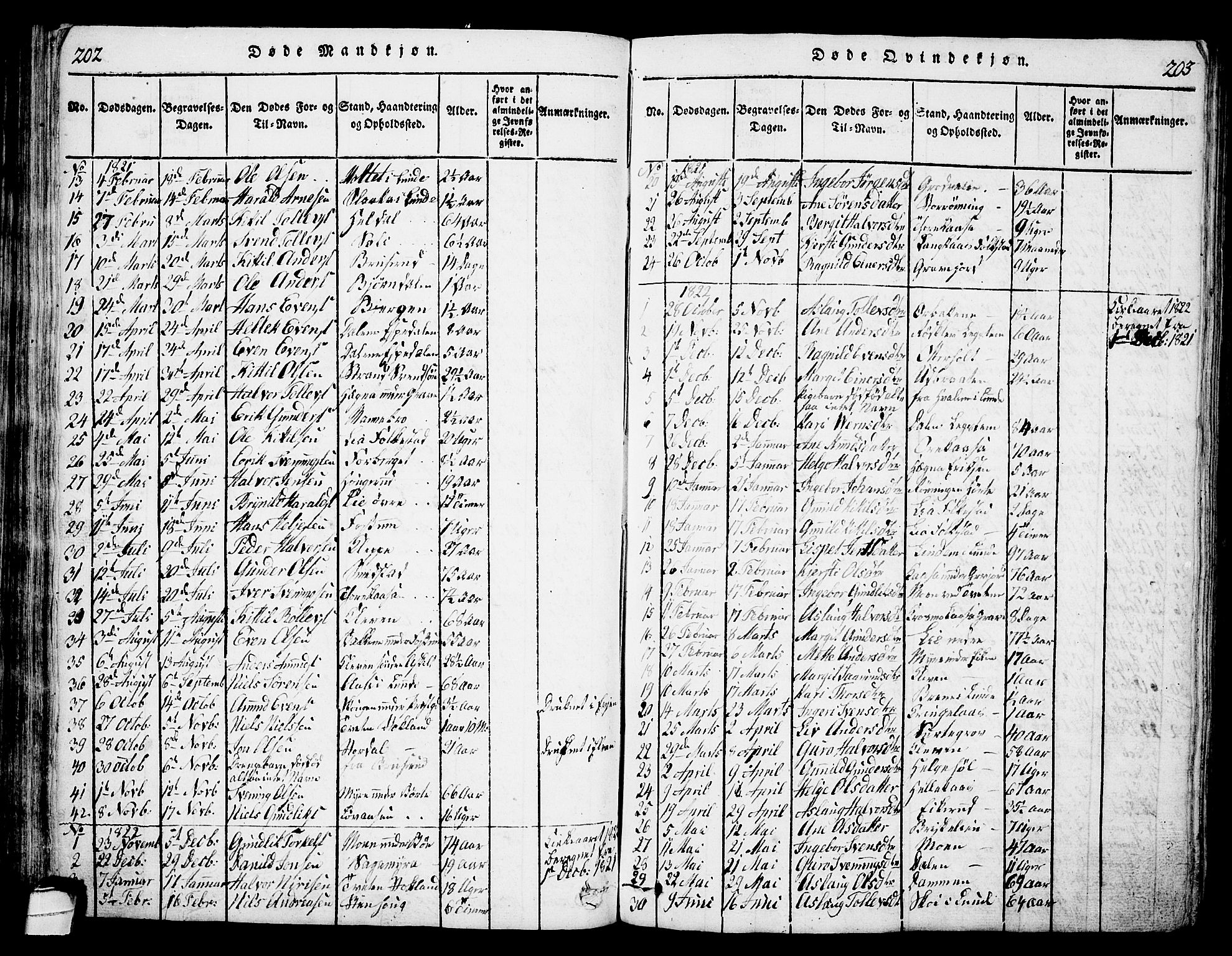 Bø kirkebøker, SAKO/A-257/G/Ga/L0001: Parish register (copy) no. 1, 1815-1831, p. 202-203