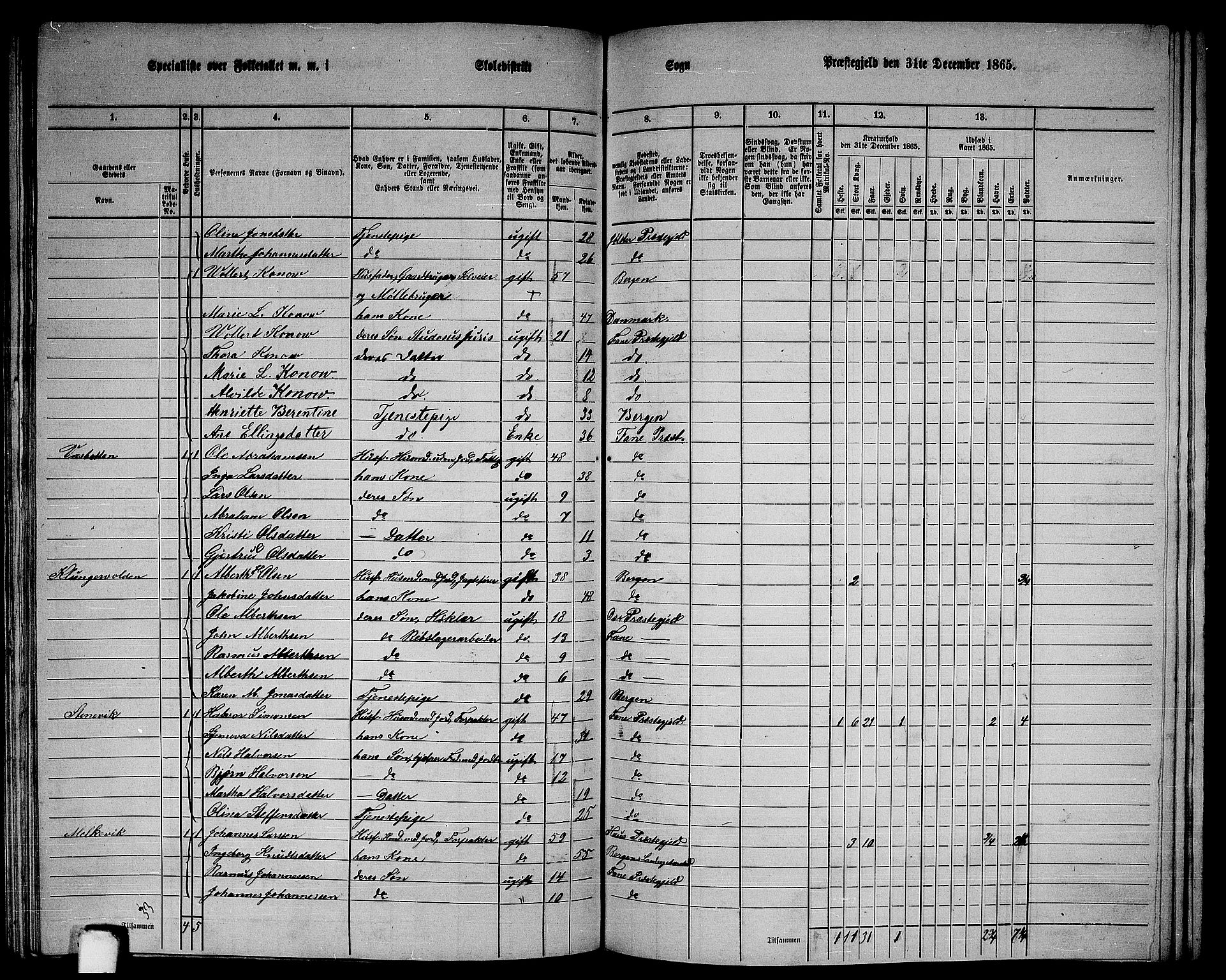 RA, 1865 census for Fana, 1865, p. 104