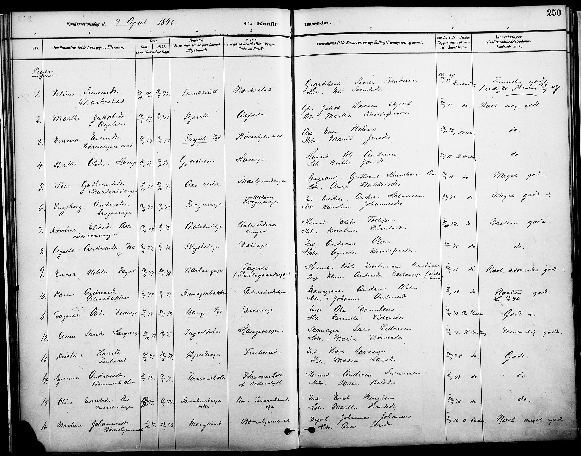 Vang prestekontor, Hedmark, SAH/PREST-008/H/Ha/Haa/L0019A: Parish register (official) no. 19, 1886-1900, p. 250