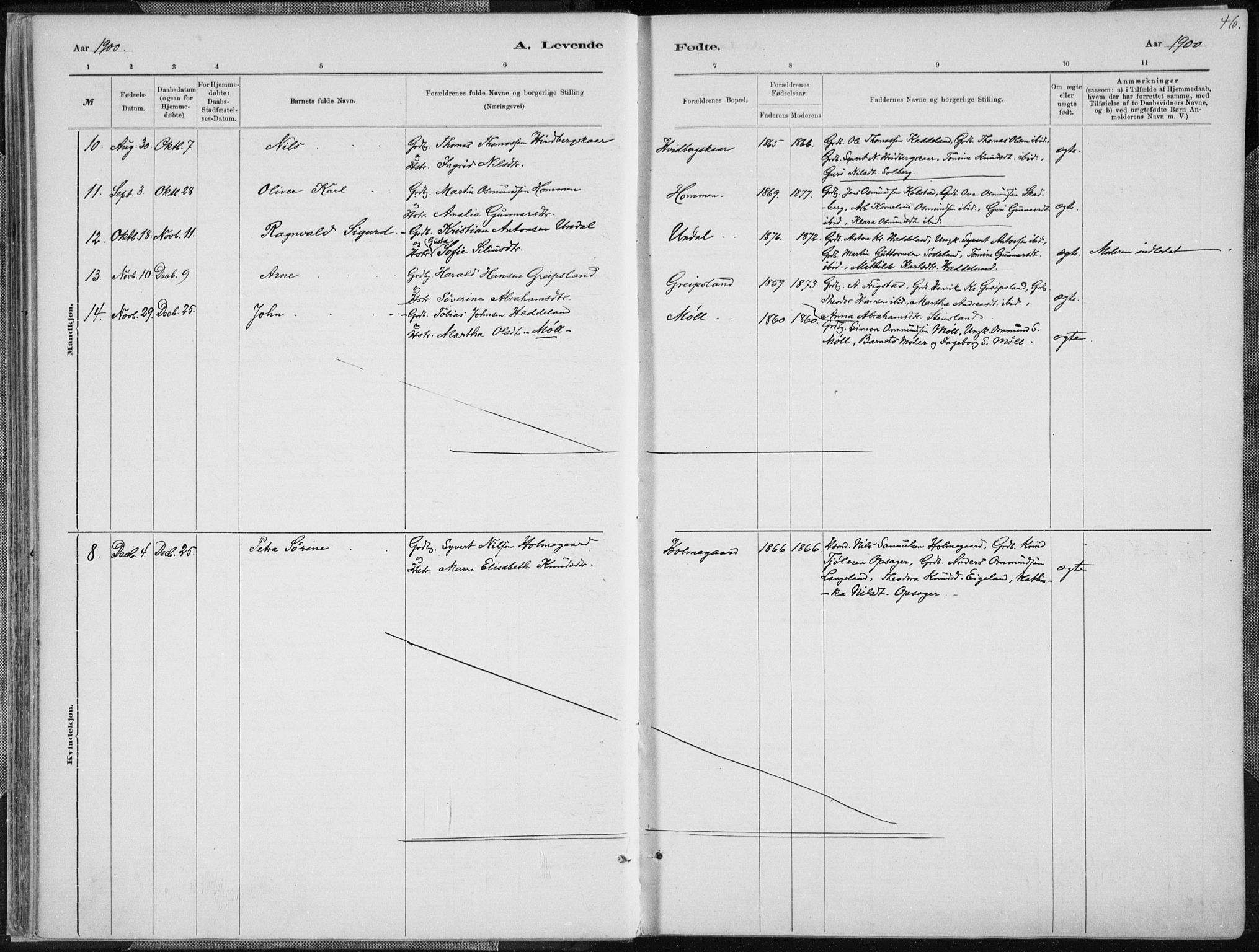 Holum sokneprestkontor, SAK/1111-0022/F/Fa/Faa/L0007: Parish register (official) no. A 7, 1884-1907, p. 46