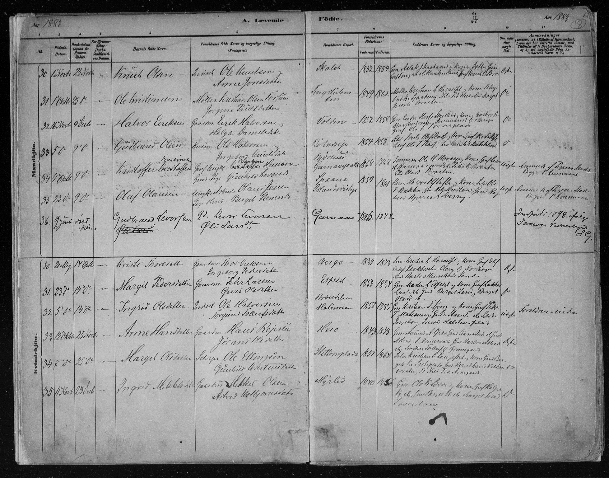 Nes kirkebøker, AV/SAKO-A-236/F/Fa/L0011: Parish register (official) no. 11, 1881-1912, p. 18