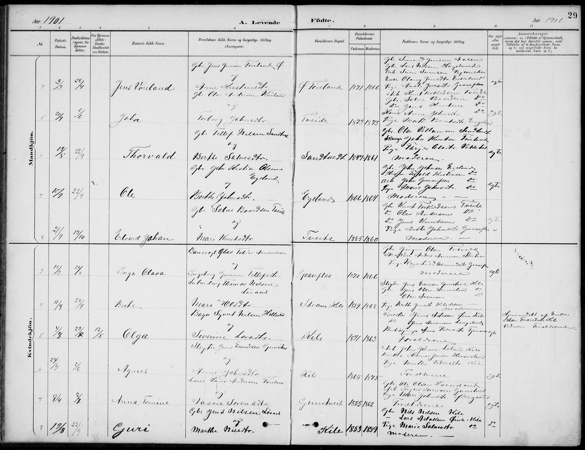 Vennesla sokneprestkontor, AV/SAK-1111-0045/Fb/Fba/L0003: Parish register (copy) no. B 3, 1890-1919, p. 29