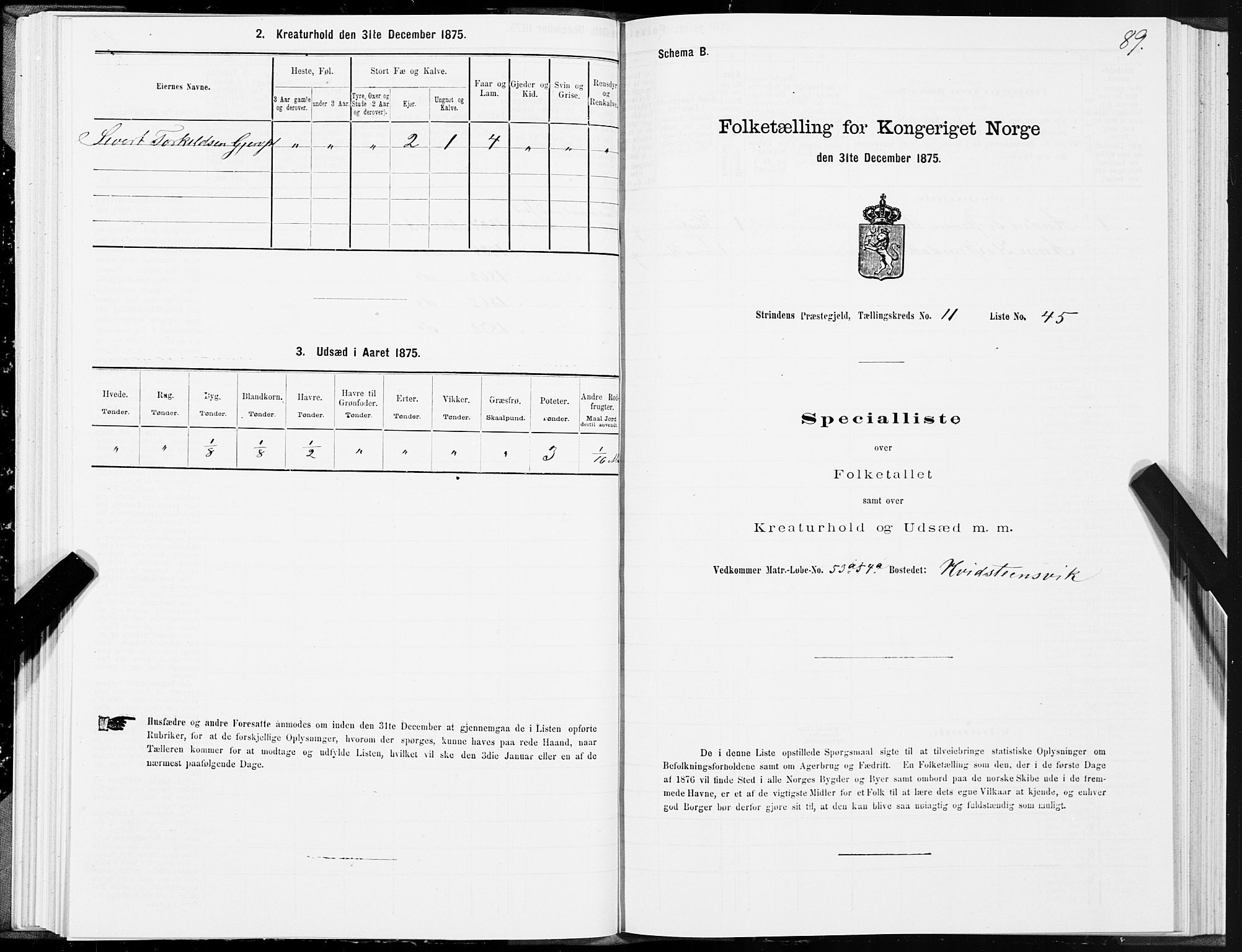 SAT, 1875 census for 1660P Strinda, 1875, p. 7089