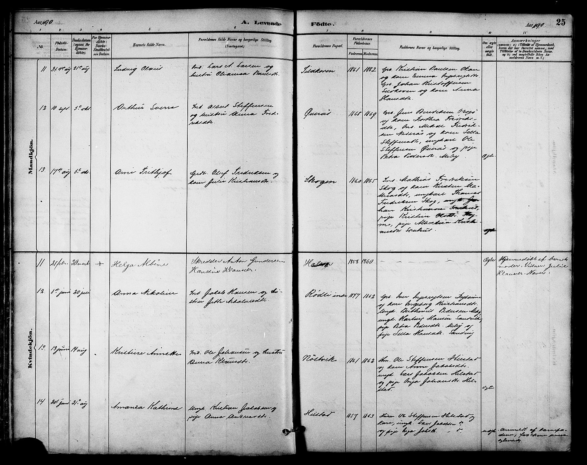 Ministerialprotokoller, klokkerbøker og fødselsregistre - Nordland, AV/SAT-A-1459/814/L0230: Parish register (copy) no. 814C03, 1884-1911, p. 25