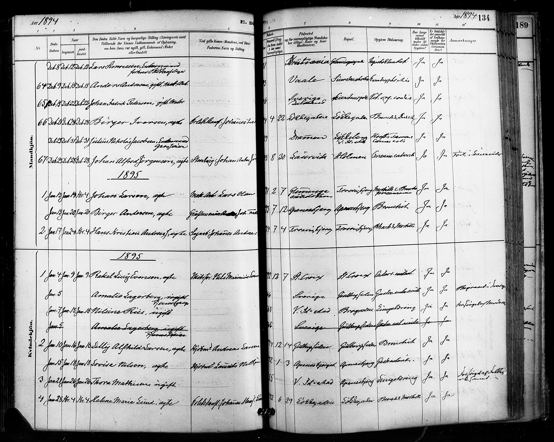 Fredrikstad domkirkes prestekontor Kirkebøker, SAO/A-10906/F/Fa/L0003: Parish register (official) no. 3, 1878-1904, p. 134