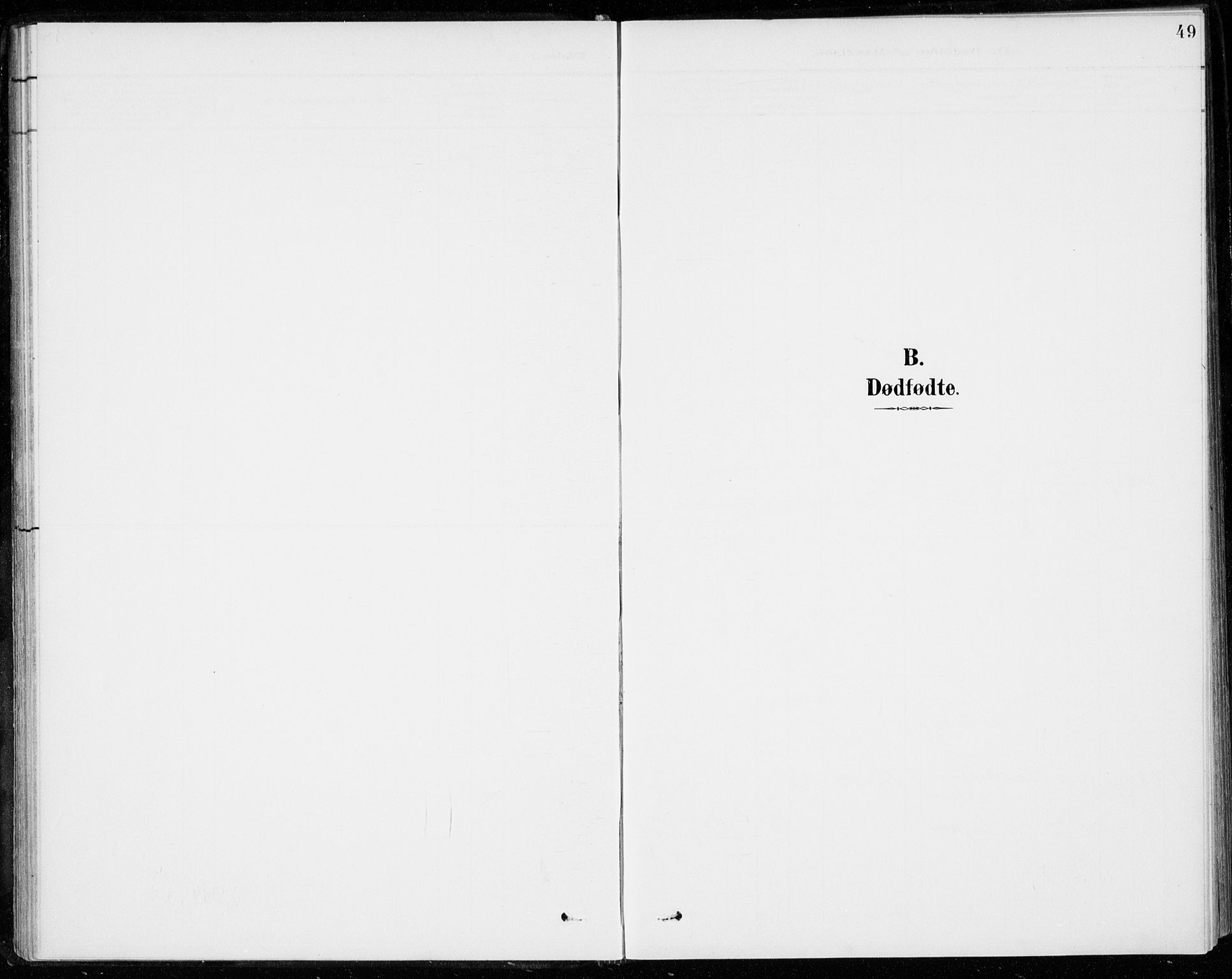 Sigdal kirkebøker, SAKO/A-245/F/Fc/L0002: Parish register (official) no. III 2, 1894-1911, p. 49