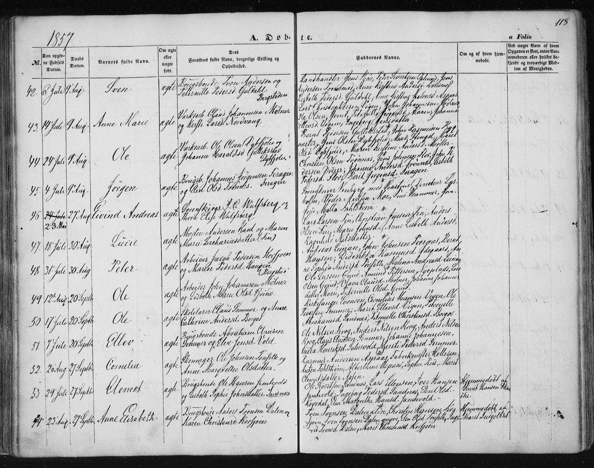 Ministerialprotokoller, klokkerbøker og fødselsregistre - Sør-Trøndelag, SAT/A-1456/681/L0931: Parish register (official) no. 681A09, 1845-1859, p. 118
