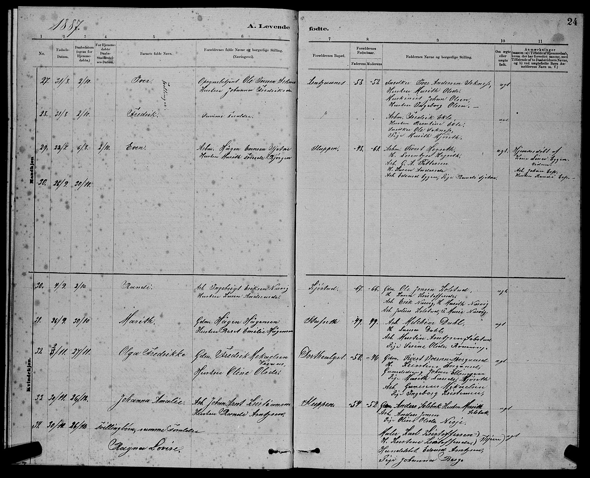 Ministerialprotokoller, klokkerbøker og fødselsregistre - Sør-Trøndelag, SAT/A-1456/611/L0354: Parish register (copy) no. 611C02, 1881-1896, p. 24