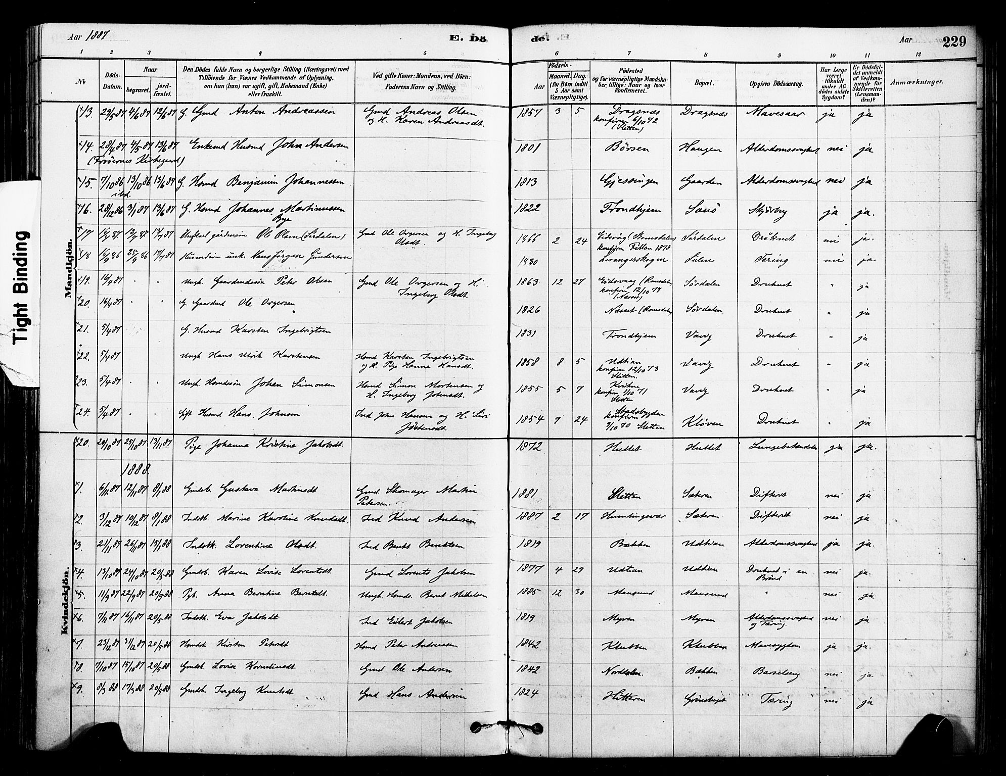 Ministerialprotokoller, klokkerbøker og fødselsregistre - Sør-Trøndelag, SAT/A-1456/640/L0578: Parish register (official) no. 640A03, 1879-1889, p. 229
