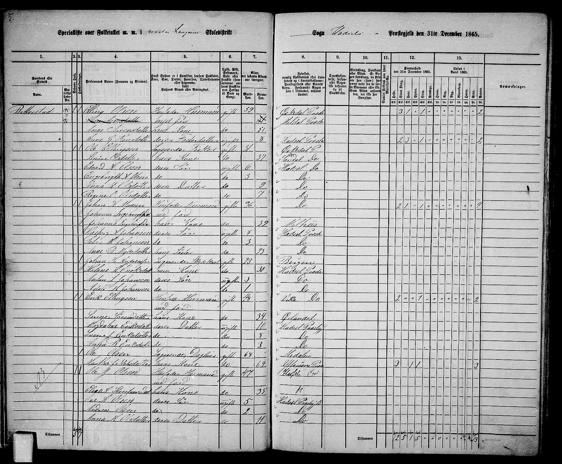 RA, 1865 census for Hadsel, 1865, p. 15