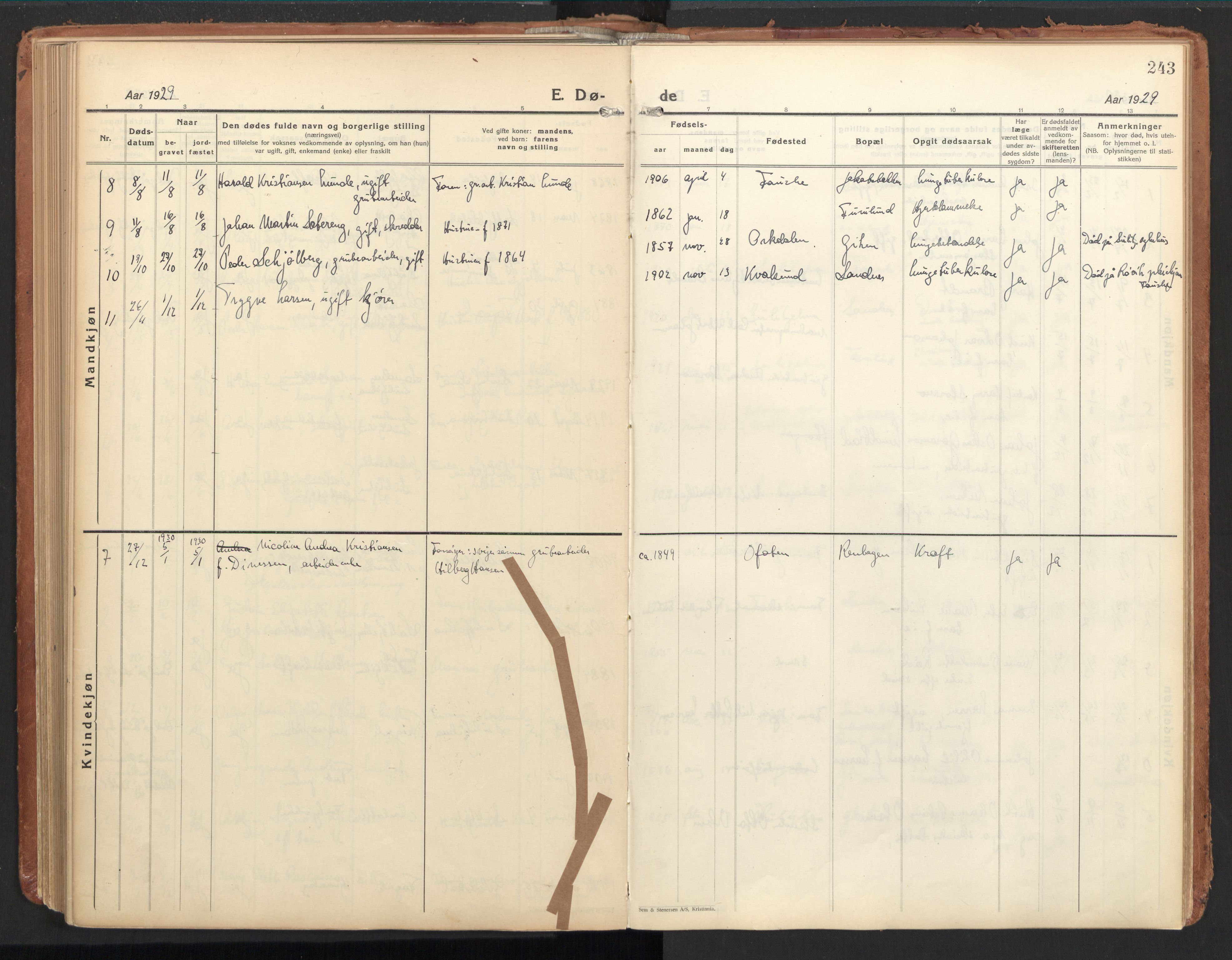 Ministerialprotokoller, klokkerbøker og fødselsregistre - Nordland, AV/SAT-A-1459/850/L0716: Curate's parish register no. 850B06, 1924-1938, p. 243