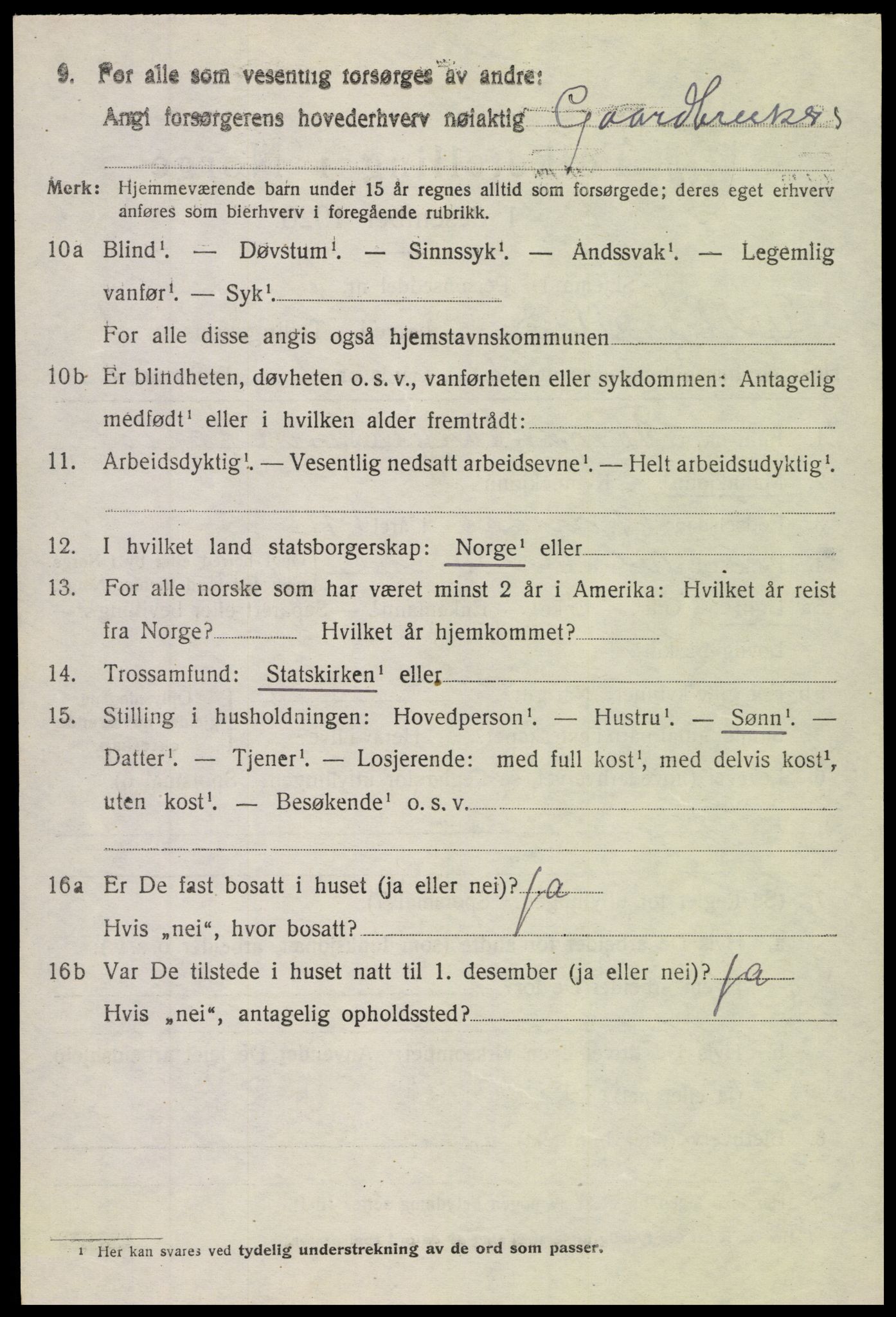 SAH, 1920 census for Vestre Slidre, 1920, p. 999