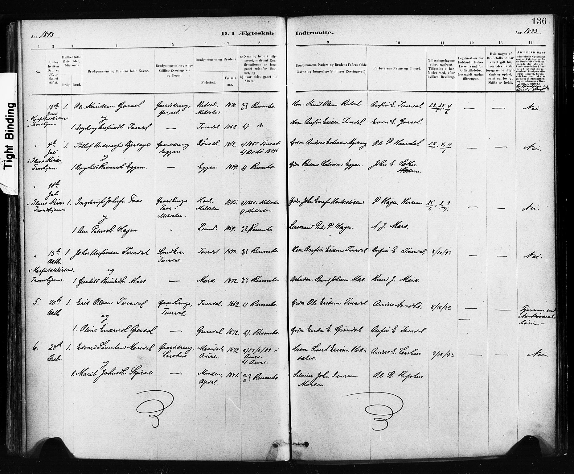 Ministerialprotokoller, klokkerbøker og fødselsregistre - Sør-Trøndelag, SAT/A-1456/674/L0871: Parish register (official) no. 674A03, 1880-1896, p. 136
