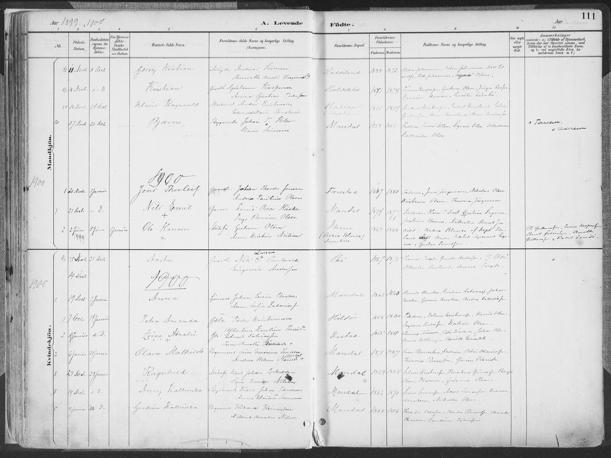 Mandal sokneprestkontor, SAK/1111-0030/F/Fa/Faa/L0018: Parish register (official) no. A 18, 1890-1905, p. 111