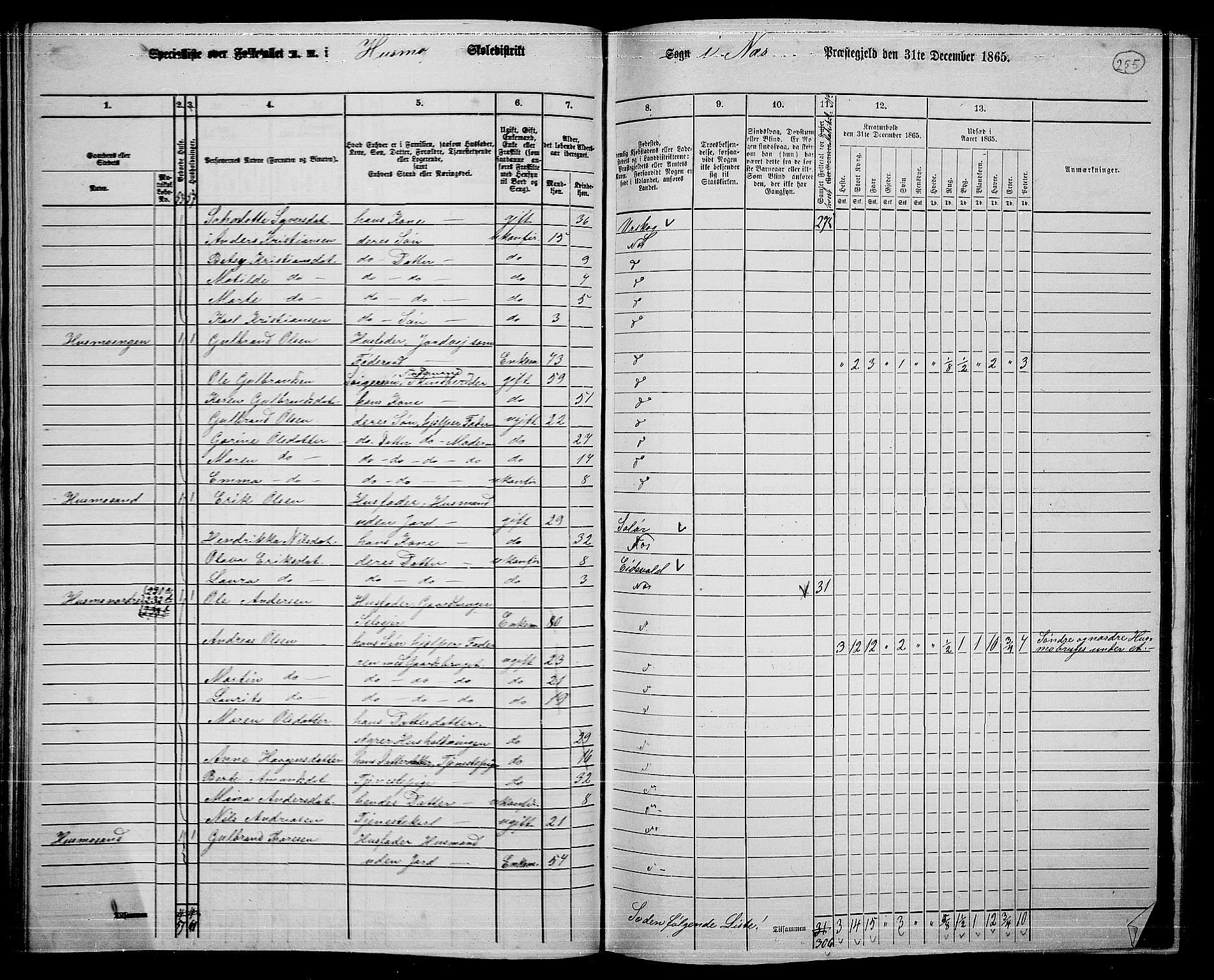 RA, 1865 census for Nes, 1865, p. 238