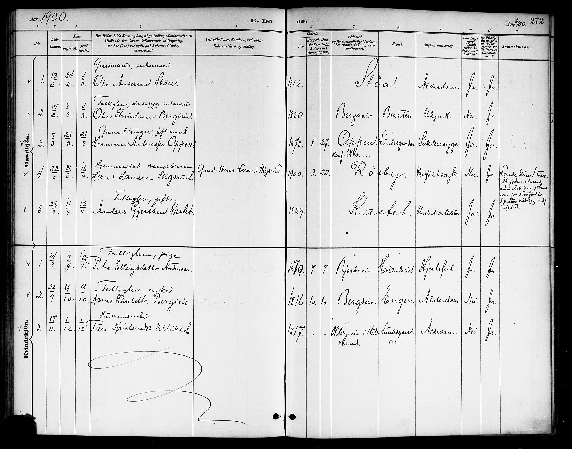 Lunder kirkebøker, AV/SAKO-A-629/G/Ga/L0004: Parish register (copy) no. I 4, 1889-1917, p. 272