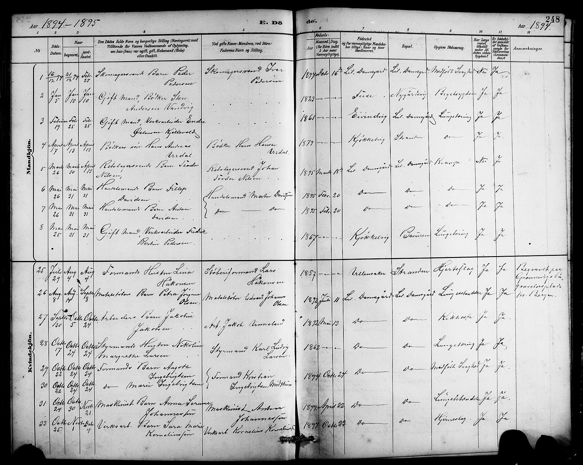 Laksevåg Sokneprestembete, SAB/A-76501/H/Ha/Hab/Haba/L0003: Parish register (copy) no. A 3, 1887-1899, p. 248