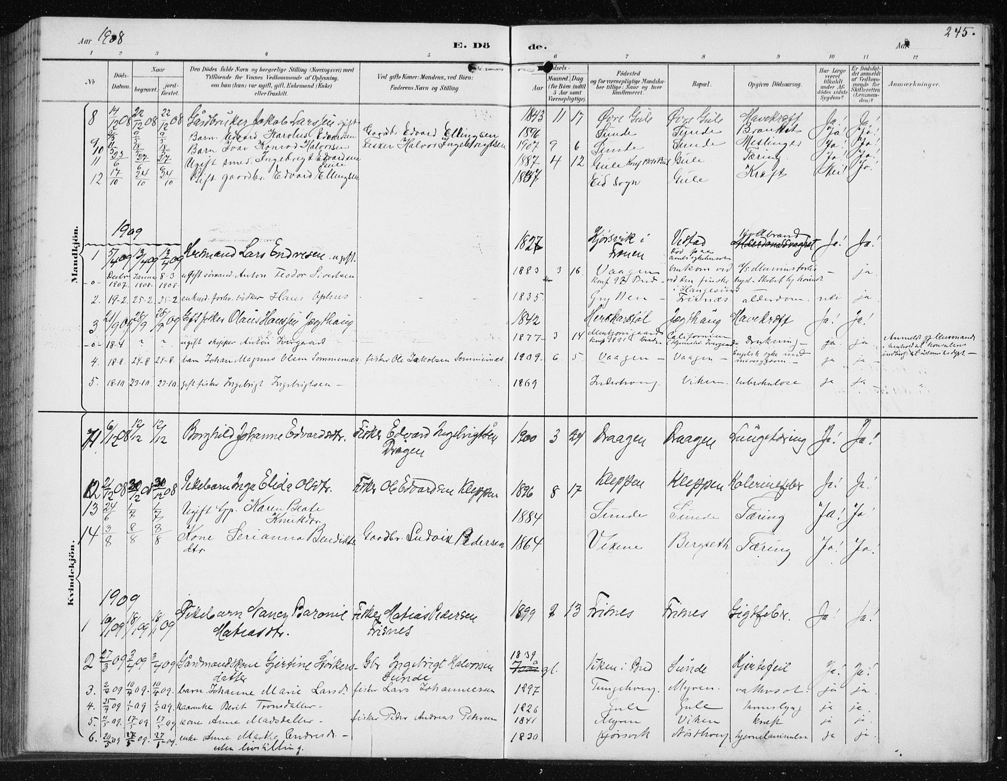 Ministerialprotokoller, klokkerbøker og fødselsregistre - Møre og Romsdal, SAT/A-1454/566/L0773: Parish register (copy) no. 566C02, 1892-1909, p. 245