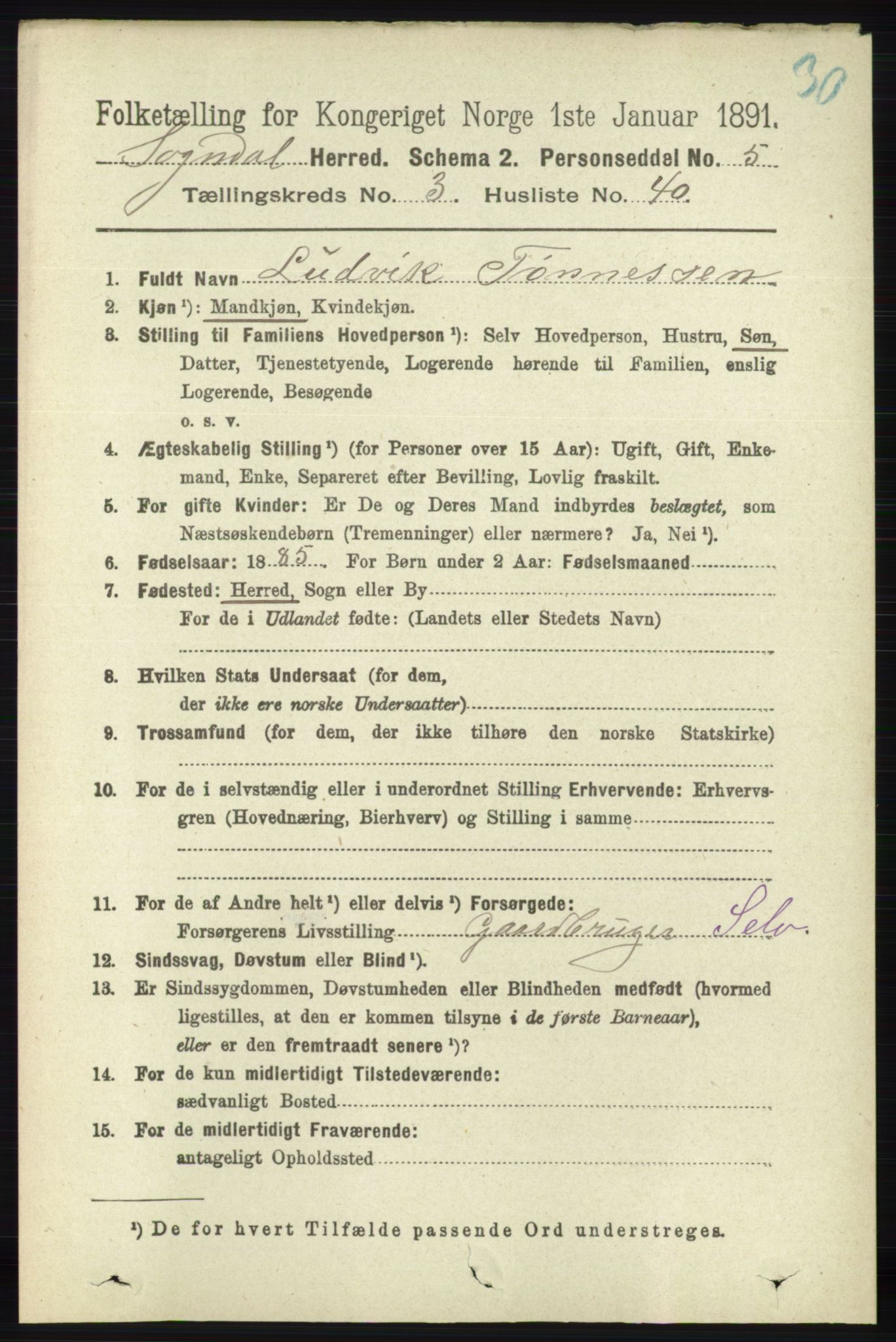 RA, 1891 census for 1111 Sokndal, 1891, p. 943