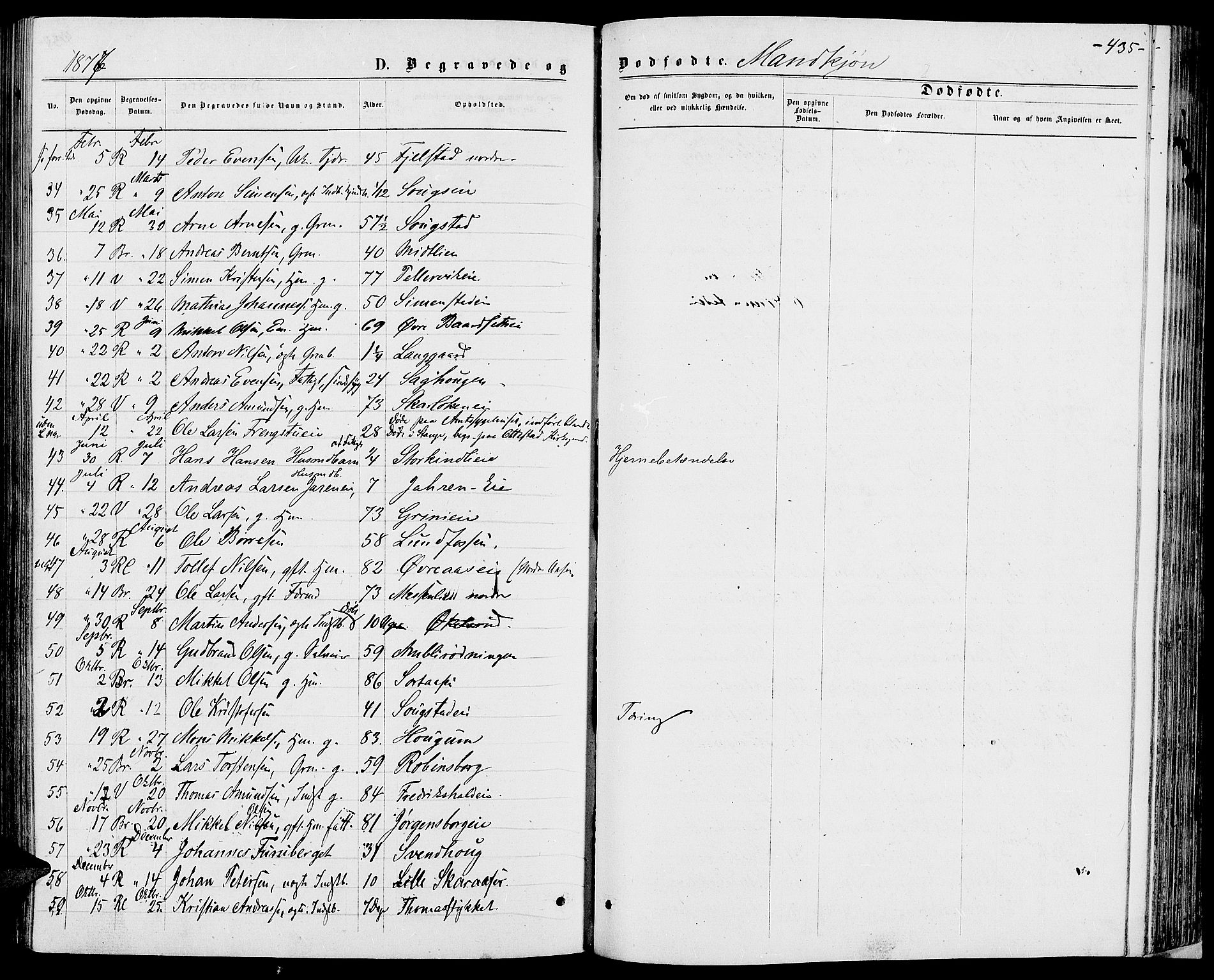 Ringsaker prestekontor, AV/SAH-PREST-014/L/La/L0008: Parish register (copy) no. 8, 1870-1878, p. 435