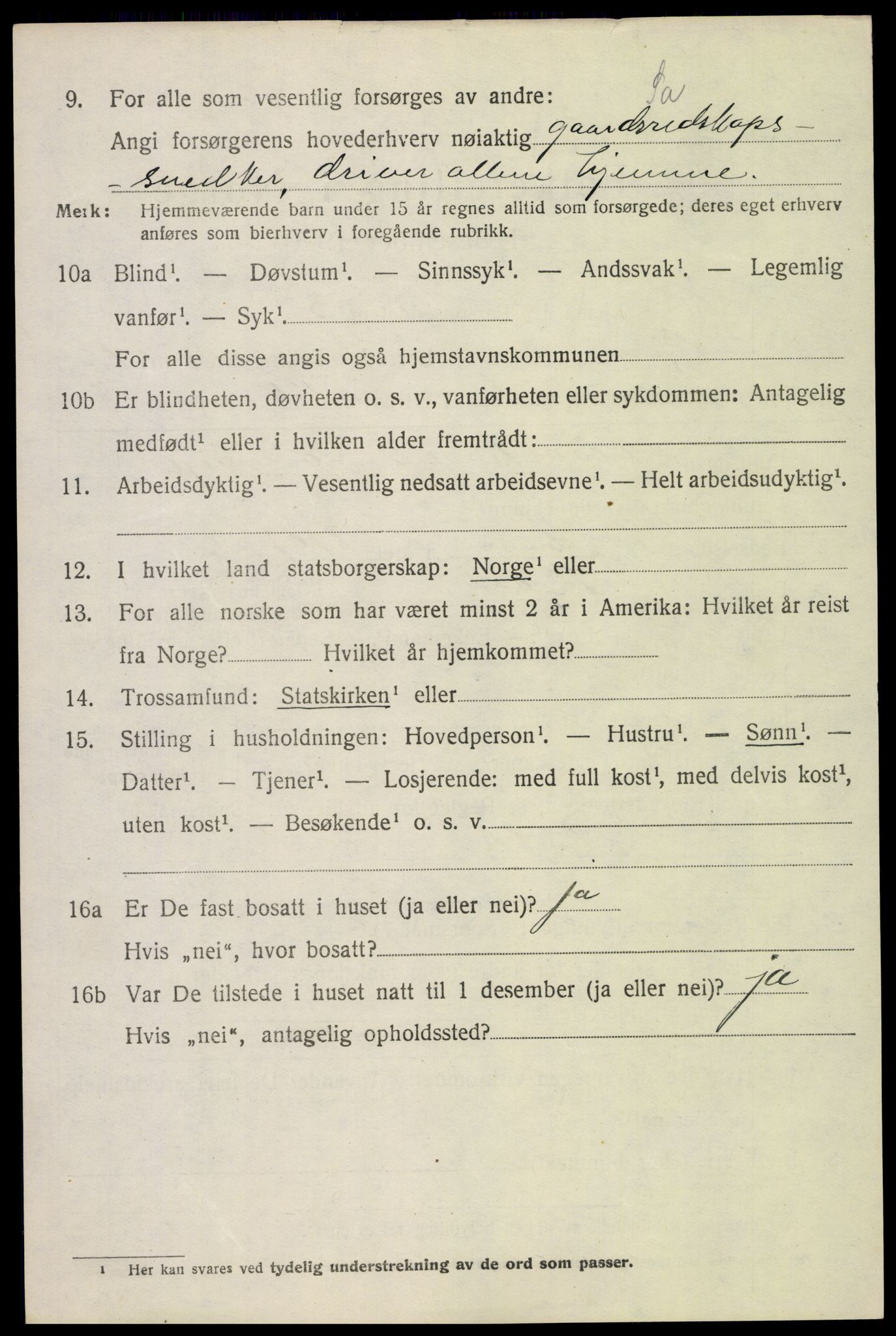 SAH, 1920 census for Skjåk, 1920, p. 5185