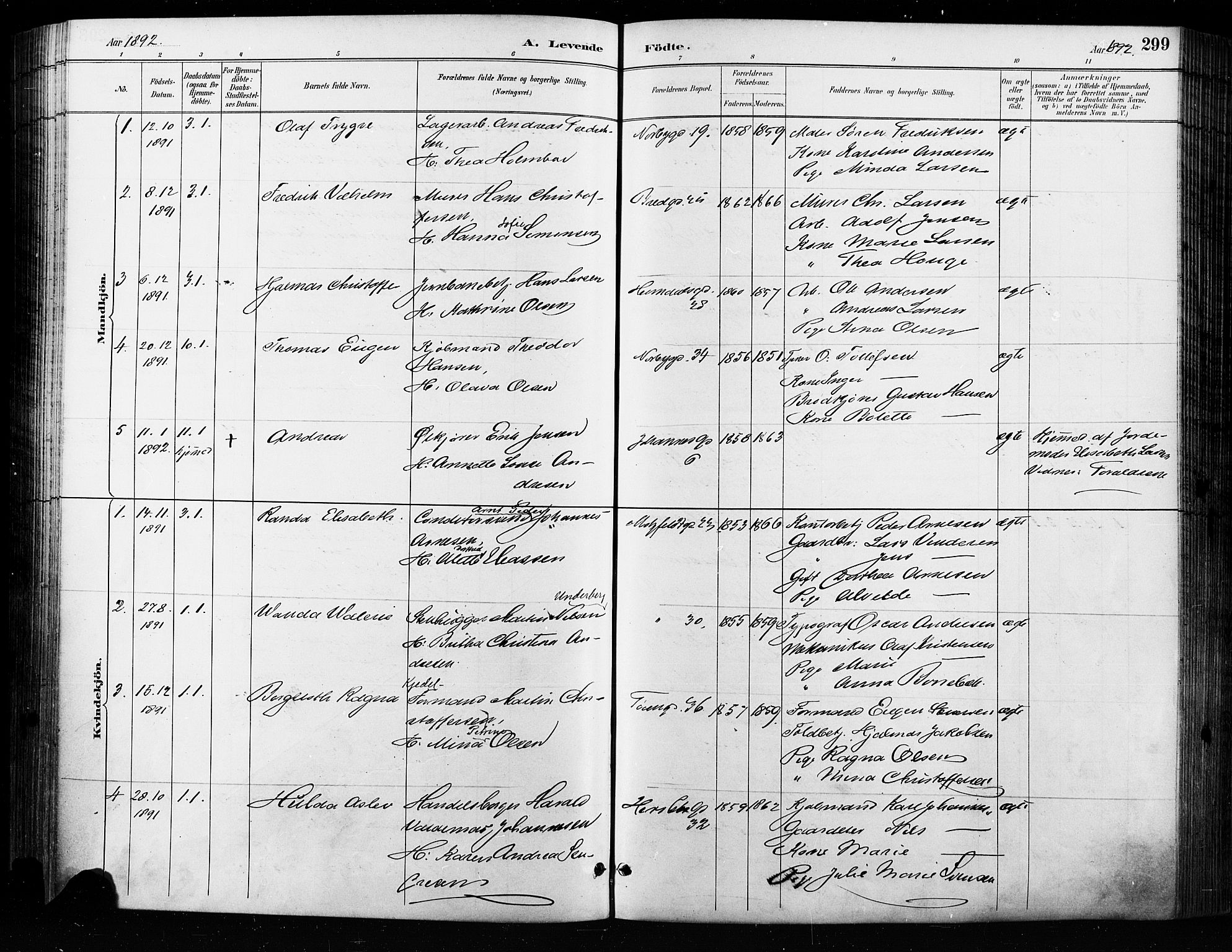 Grønland prestekontor Kirkebøker, SAO/A-10848/F/Fa/L0009: Parish register (official) no. 9, 1888-1893, p. 299
