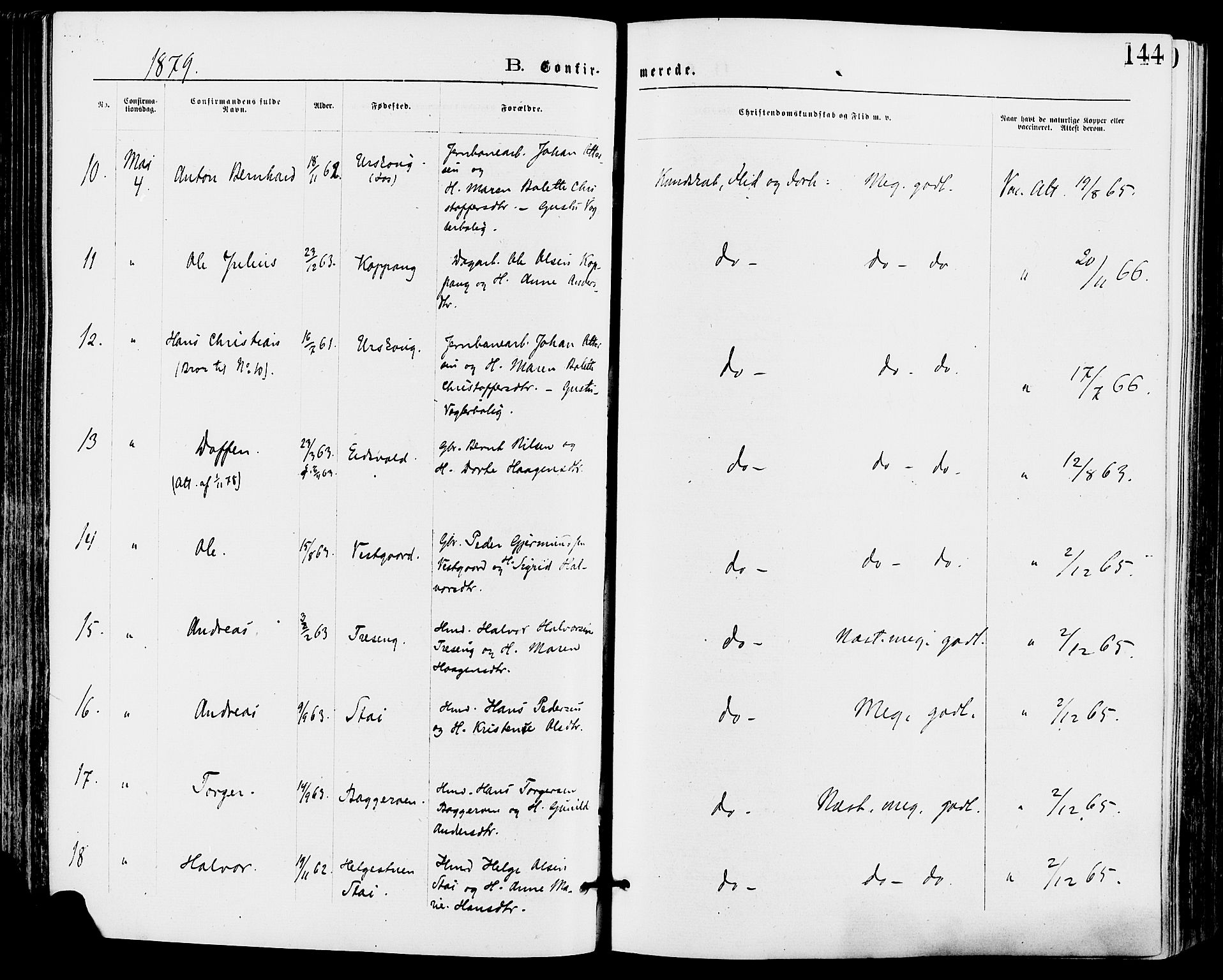 Stor-Elvdal prestekontor, AV/SAH-PREST-052/H/Ha/Haa/L0001: Parish register (official) no. 1, 1871-1882, p. 144