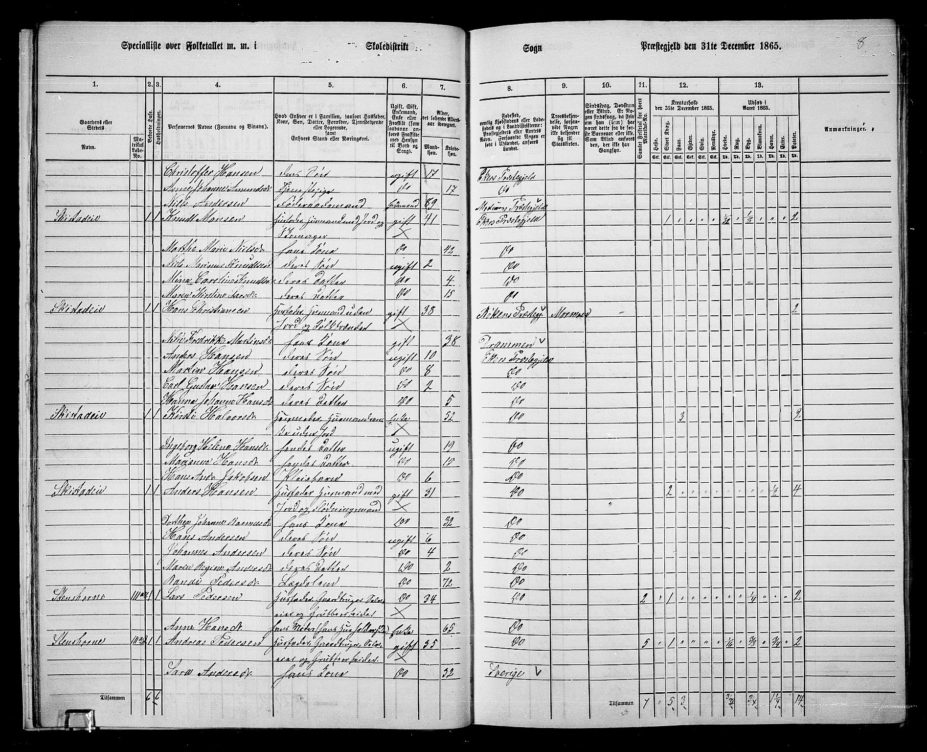 RA, 1865 census for Eiker, 1865, p. 21