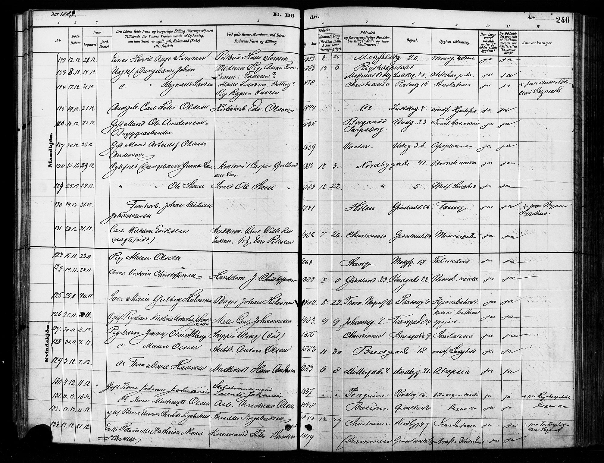 Grønland prestekontor Kirkebøker, AV/SAO-A-10848/F/Fa/L0008: Parish register (official) no. 8, 1881-1893, p. 246