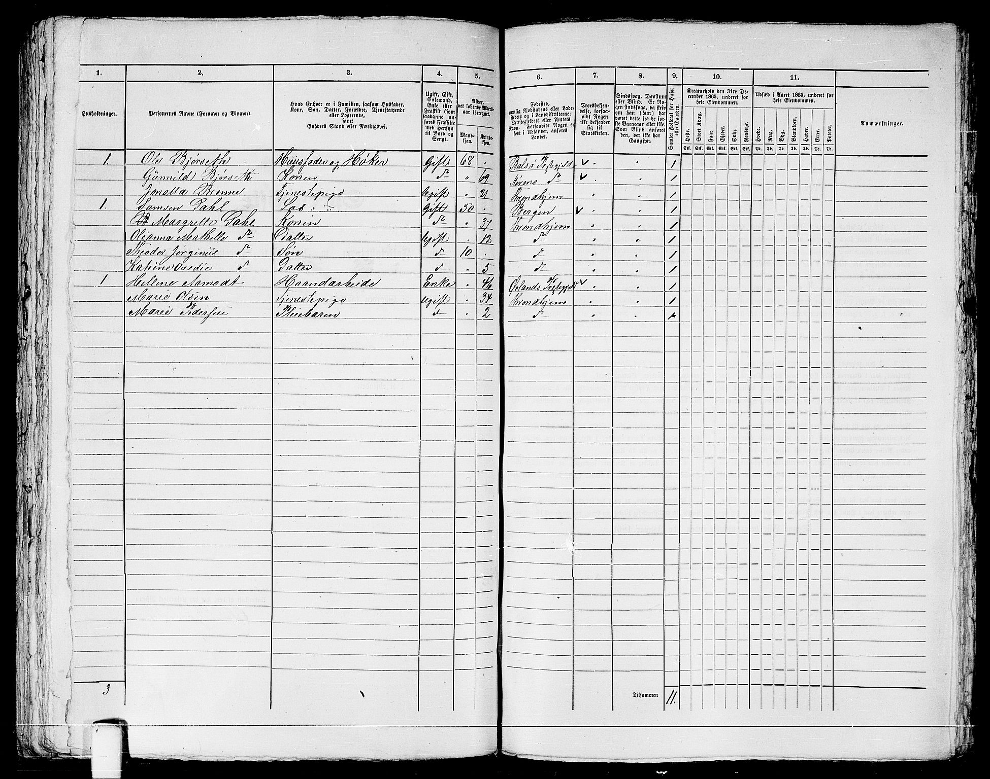 RA, 1865 census for Trondheim, 1865, p. 1344